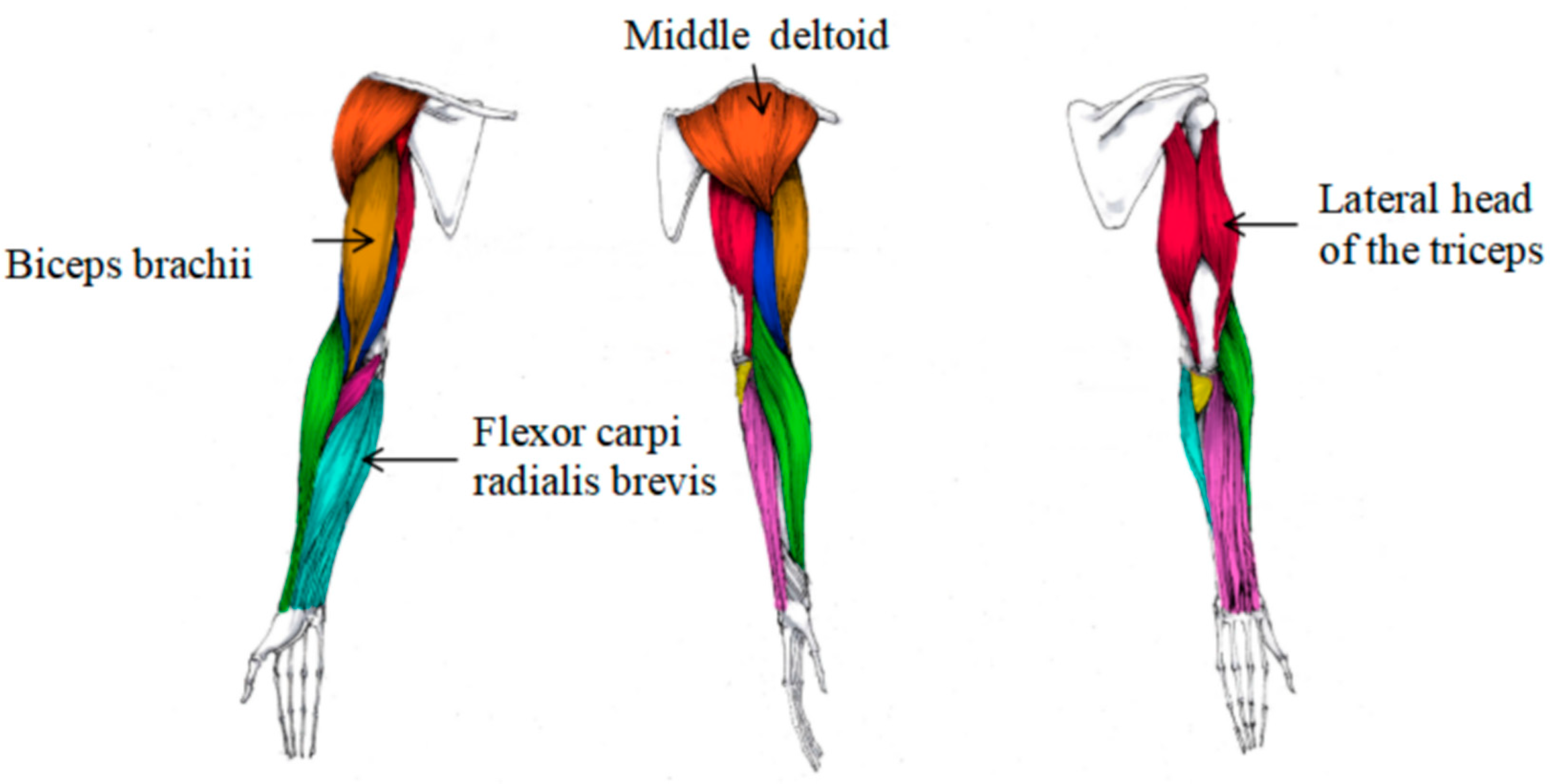 Applsci 16 00411 g006