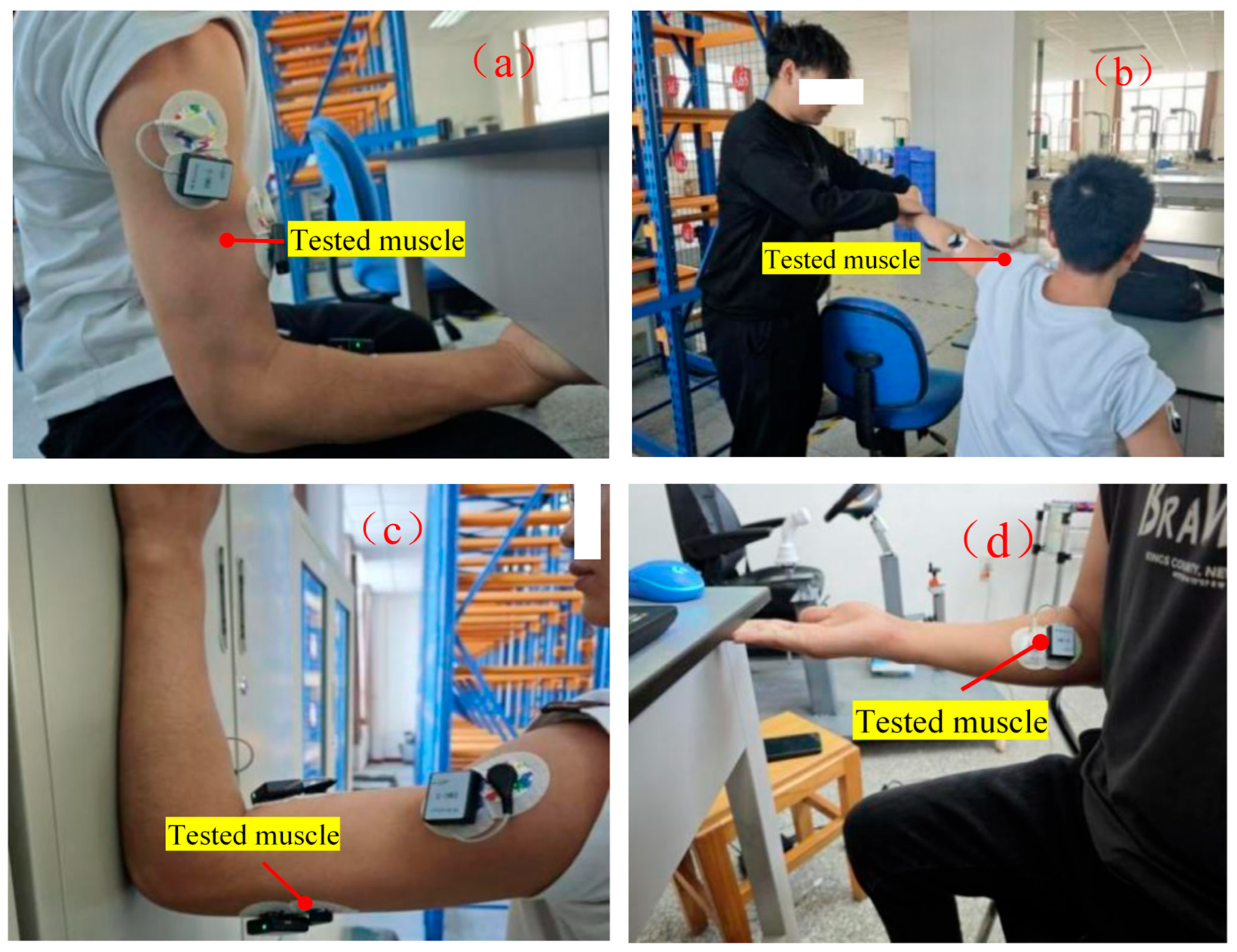 Applsci 16 00411 g007