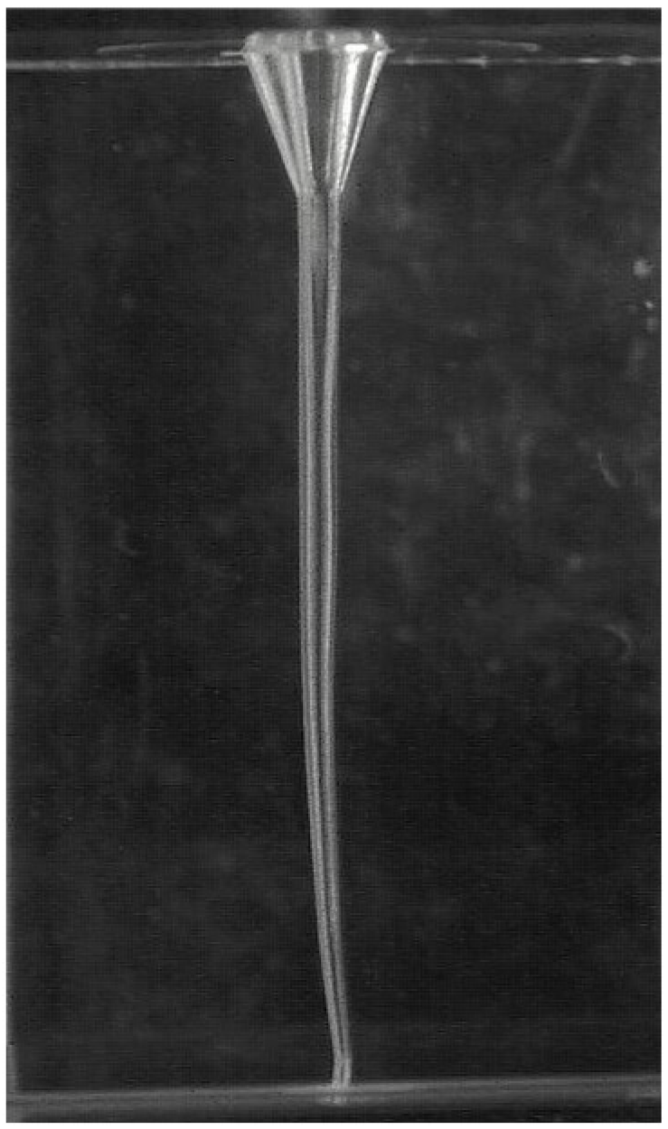 Applsci 16 00446 g001 Applsci 16 00446 g001