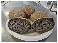 Applsci 16 00461 i005