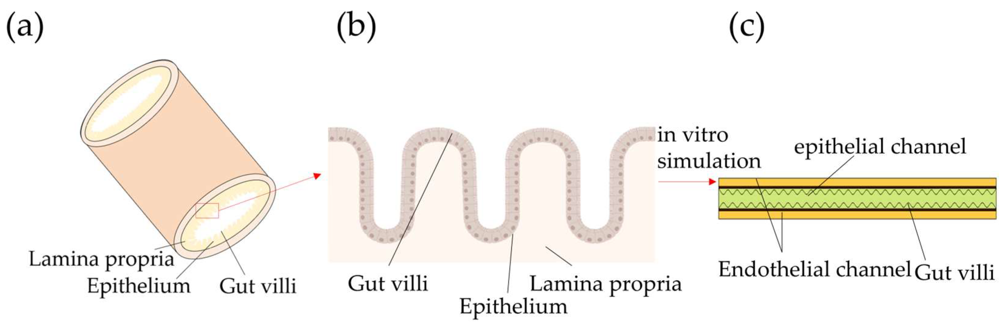 Applsci 16 00571 g001 Applsci 16 00571 g001