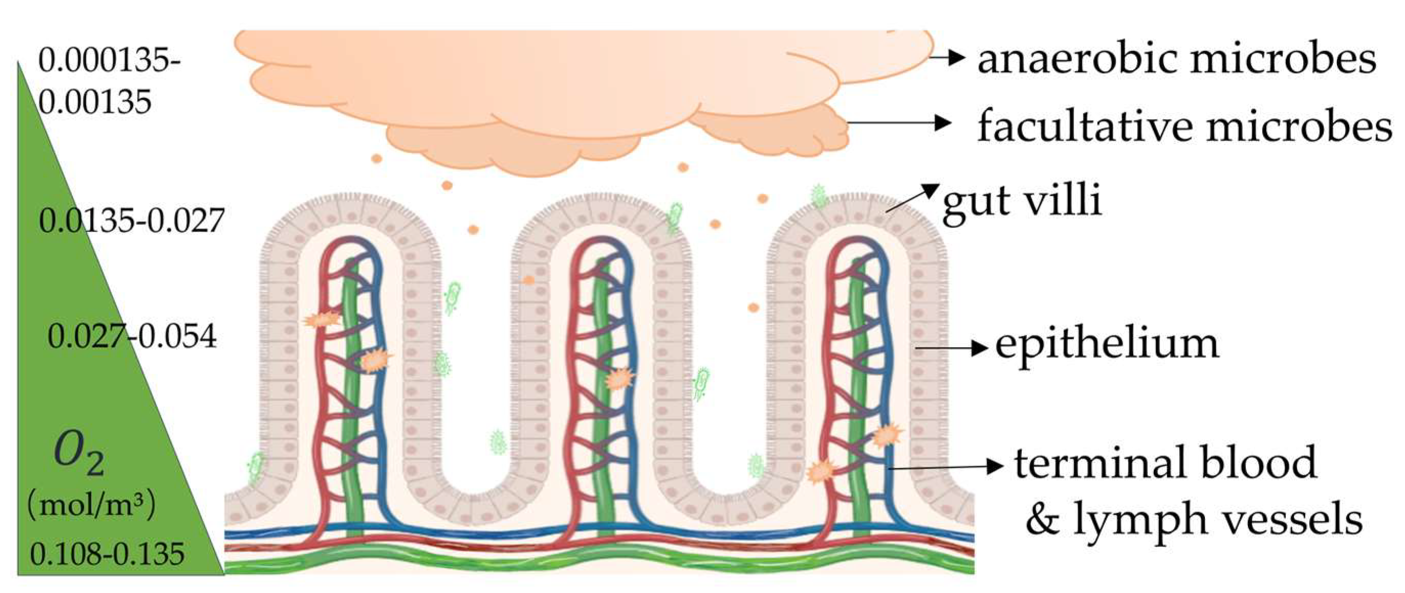 Applsci 16 00571 g003 Applsci 16 00571 g003