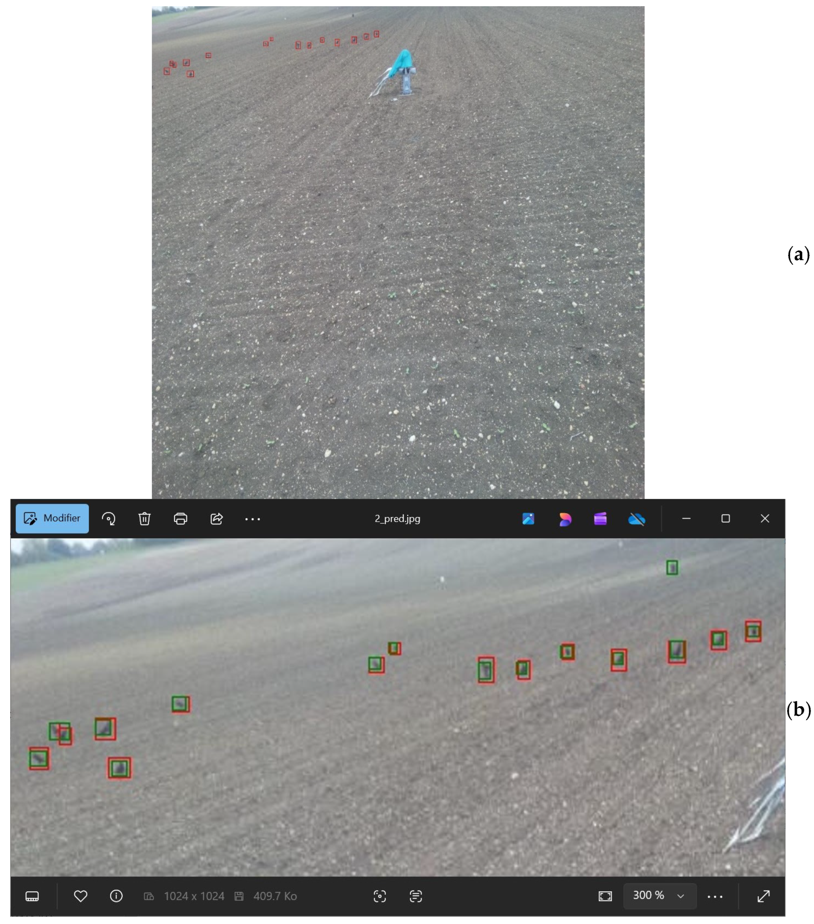 Applsci 16 00584 g005 Applsci 16 00584 g005