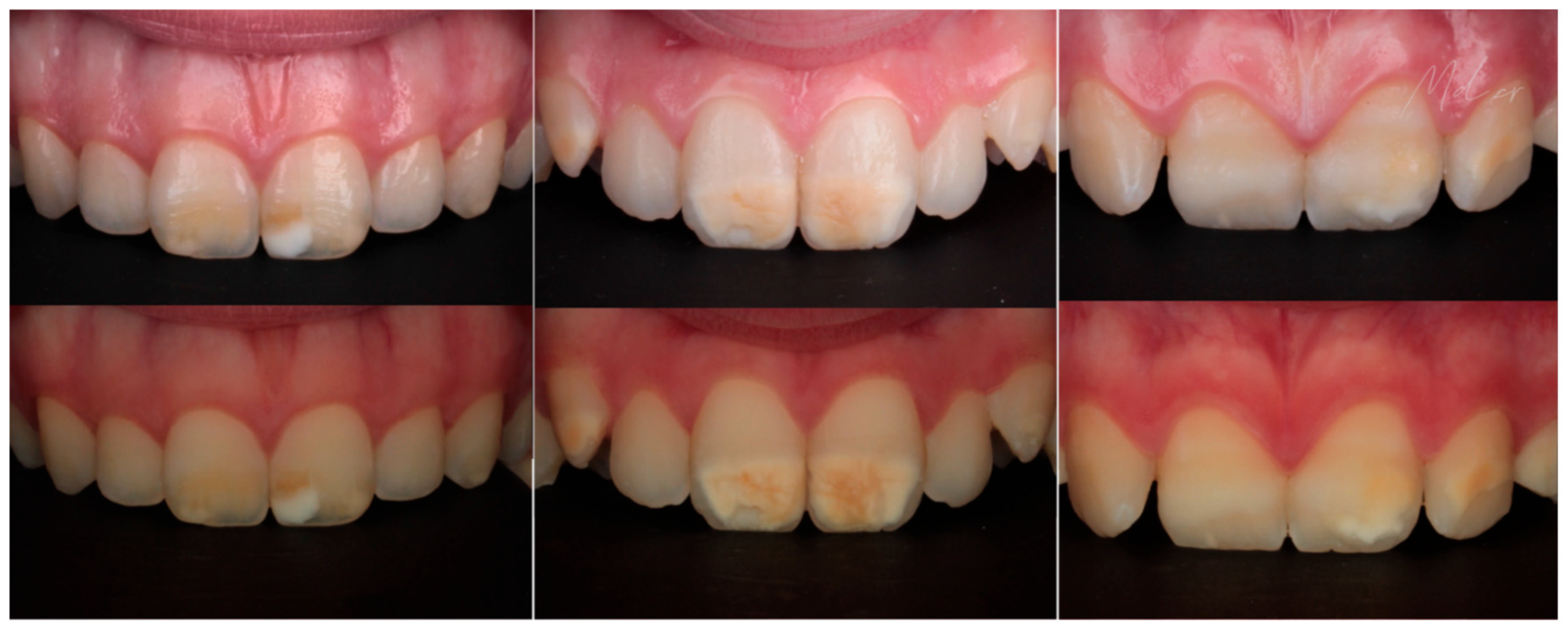 Applsci 16 00593 g002