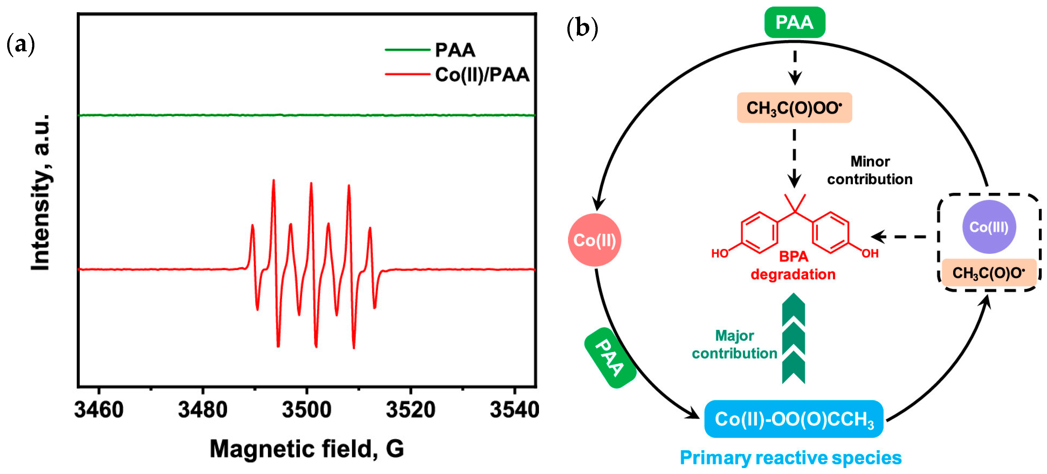 Applsci 16 00699 g006