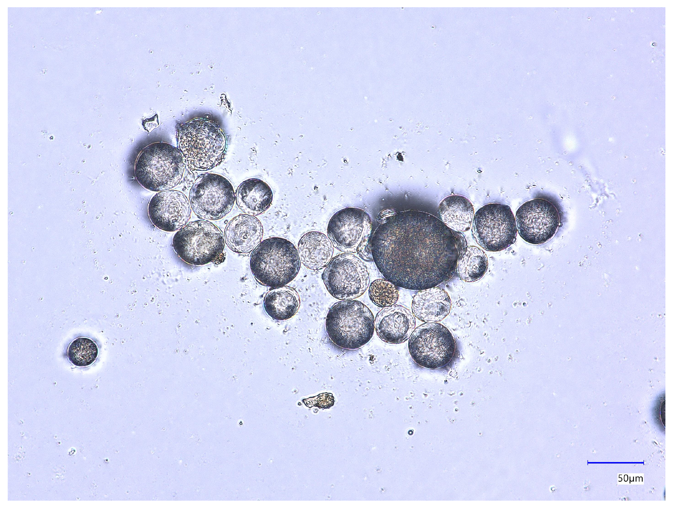 Applsci 16 00720 g002 Applsci 16 00720 g002