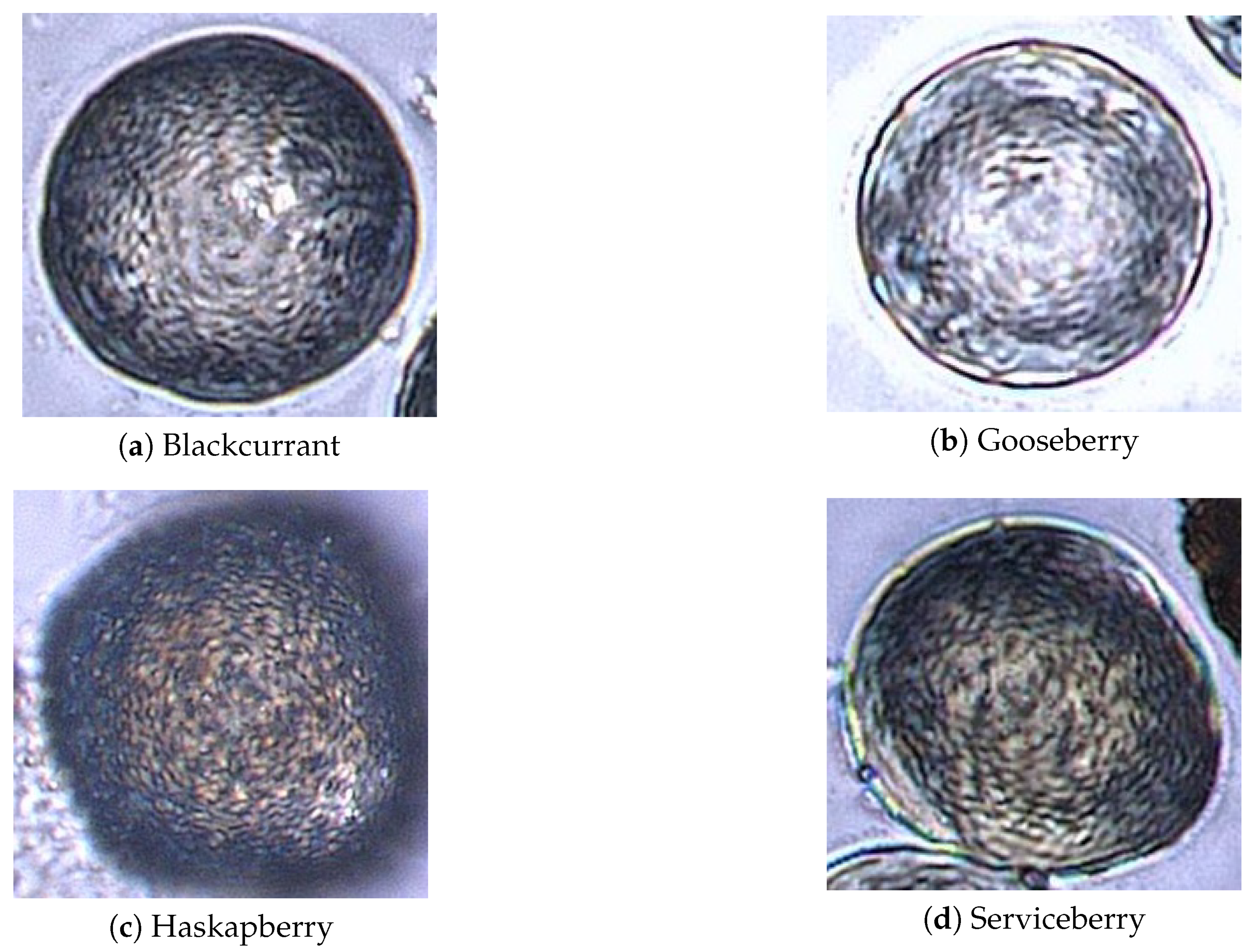 Applsci 16 00720 g003 Applsci 16 00720 g003