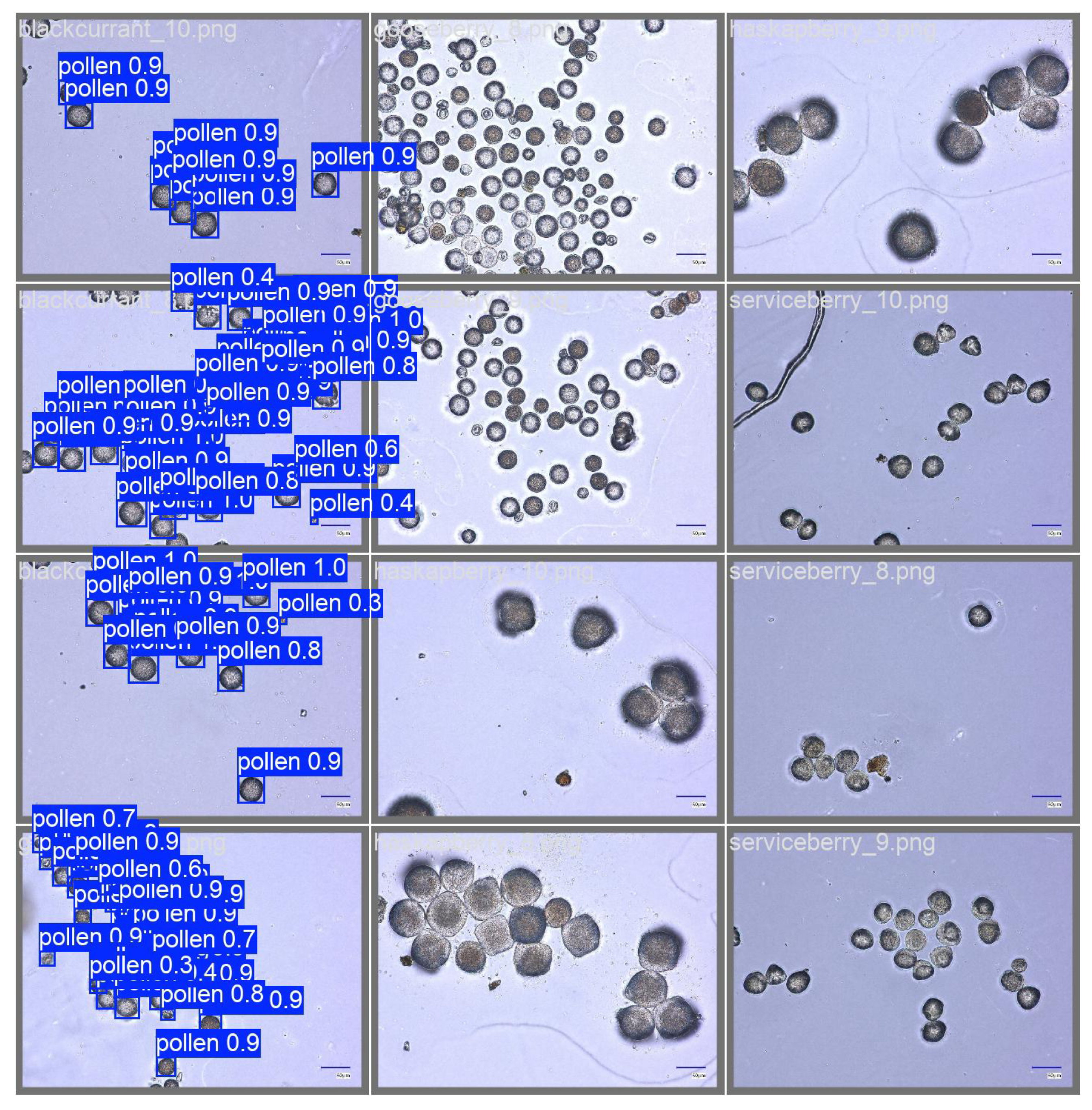 Applsci 16 00720 g006 Applsci 16 00720 g006