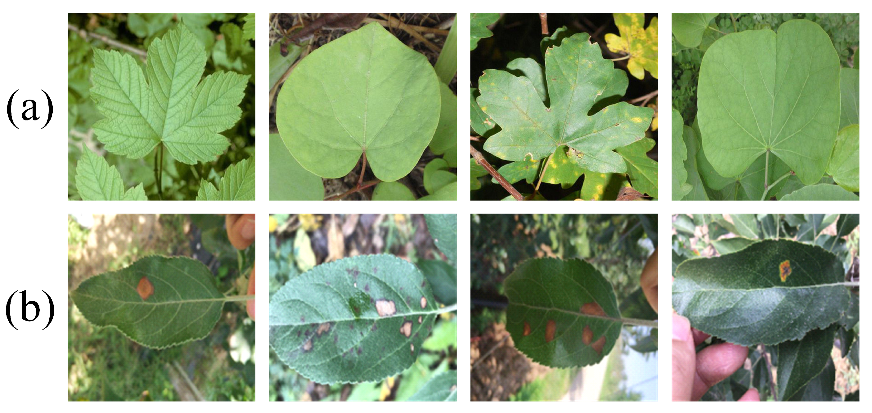 Applsci 16 00731 g001