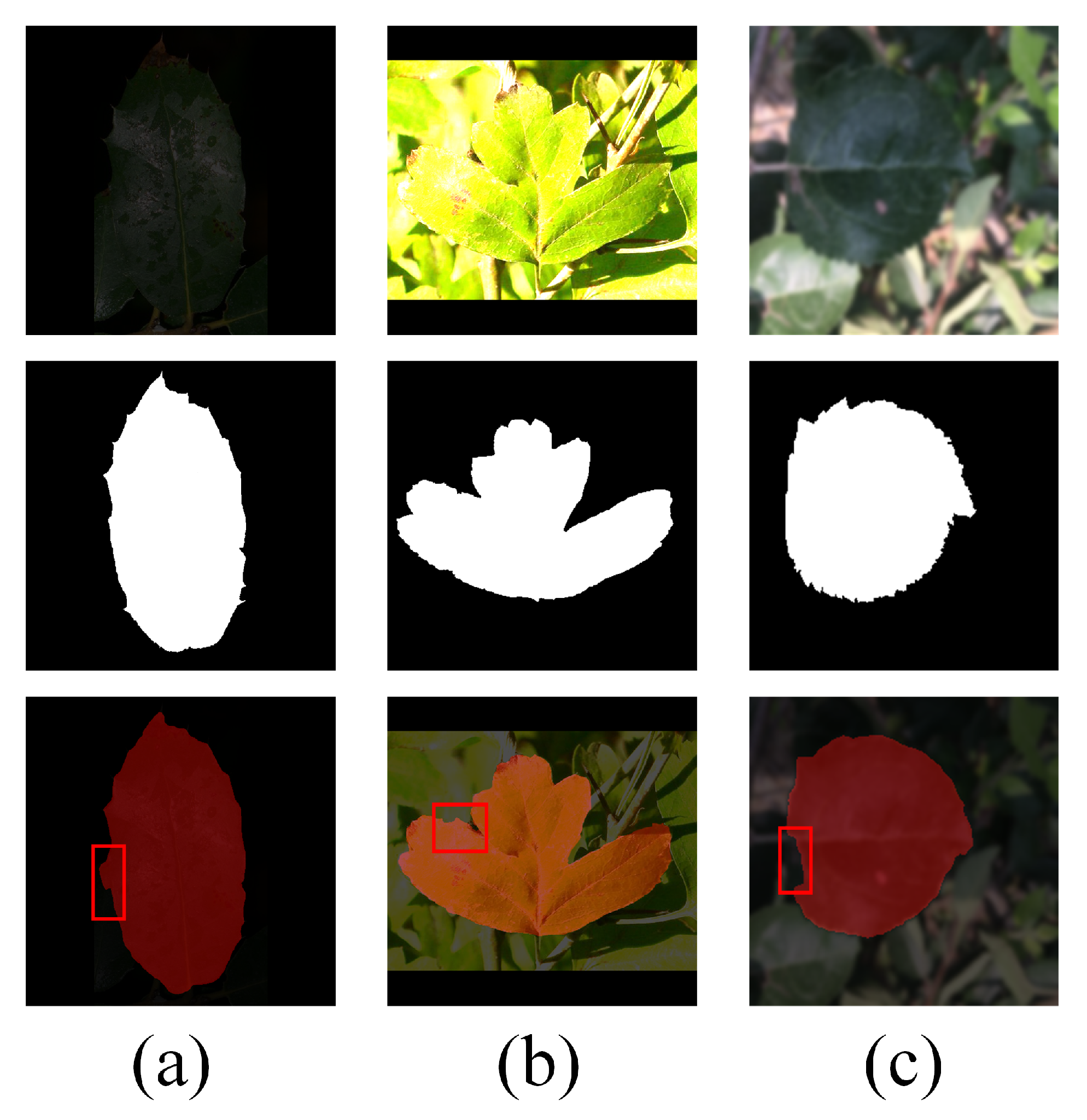 Applsci 16 00731 g007