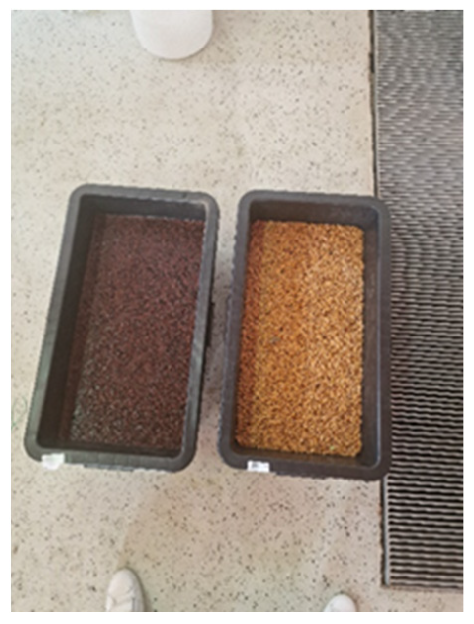 Applsci 16 00755 g002 Applsci 16 00755 g002