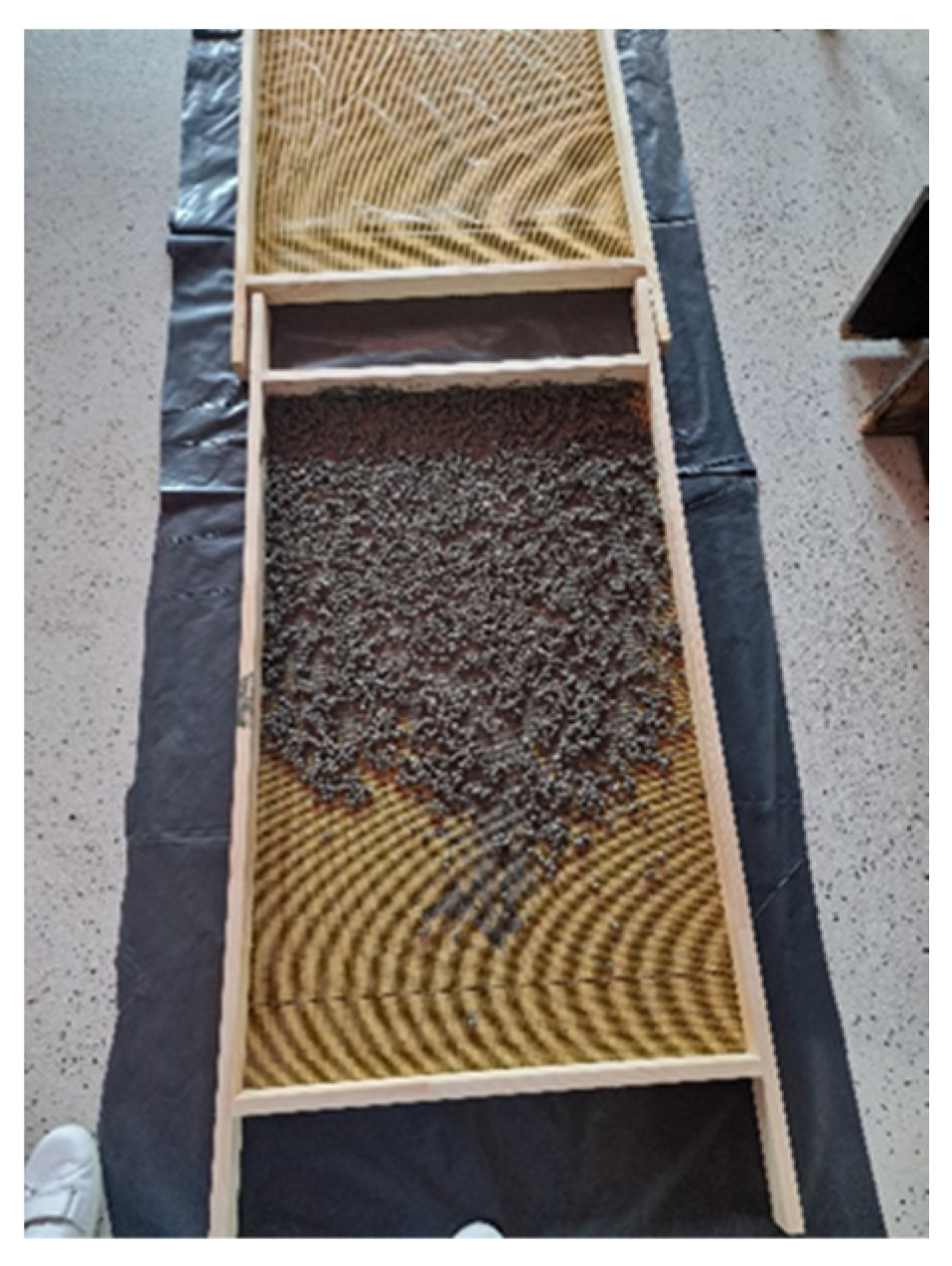 Applsci 16 00755 g003 Applsci 16 00755 g003