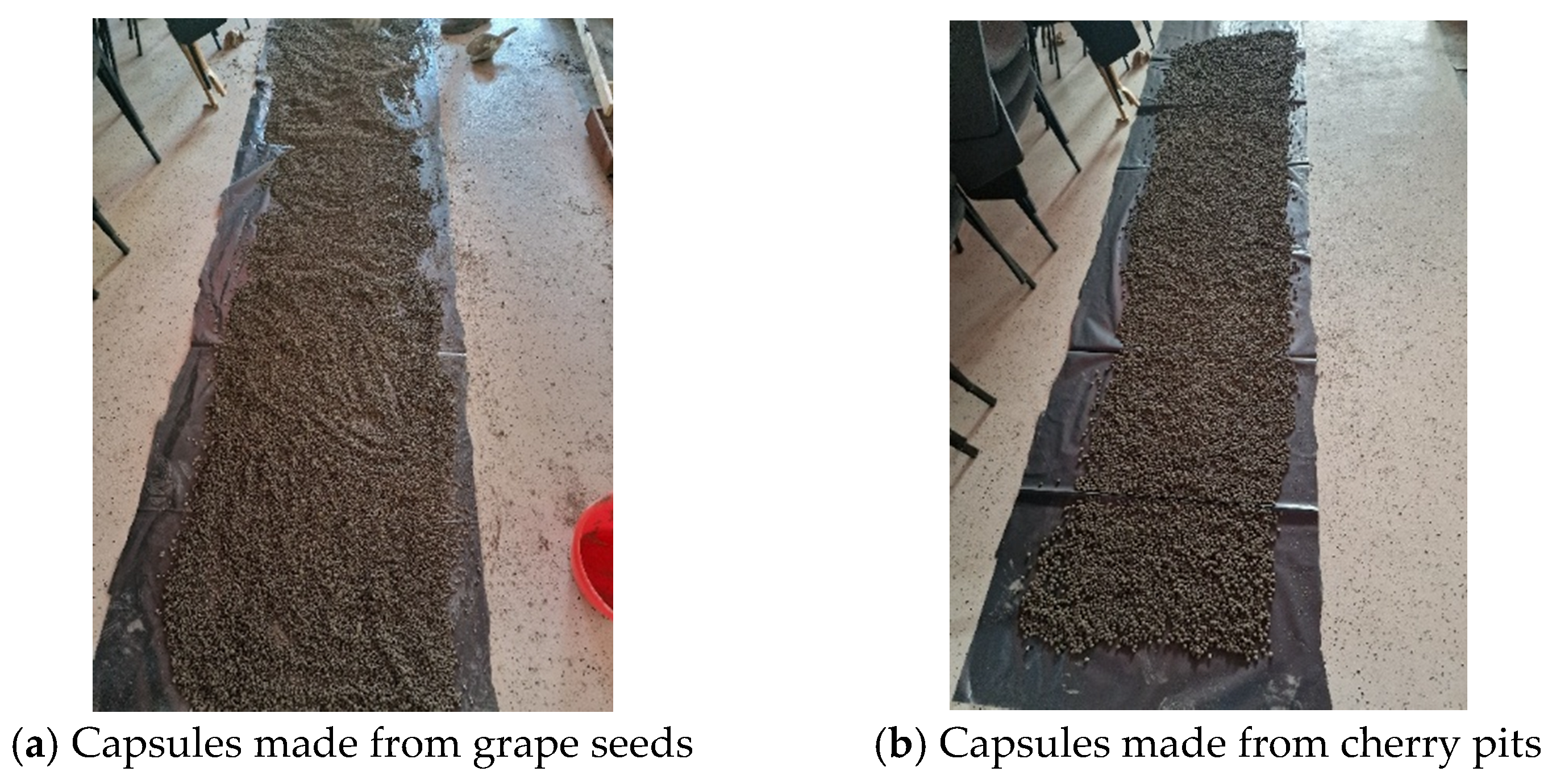 Applsci 16 00755 g004 Applsci 16 00755 g004