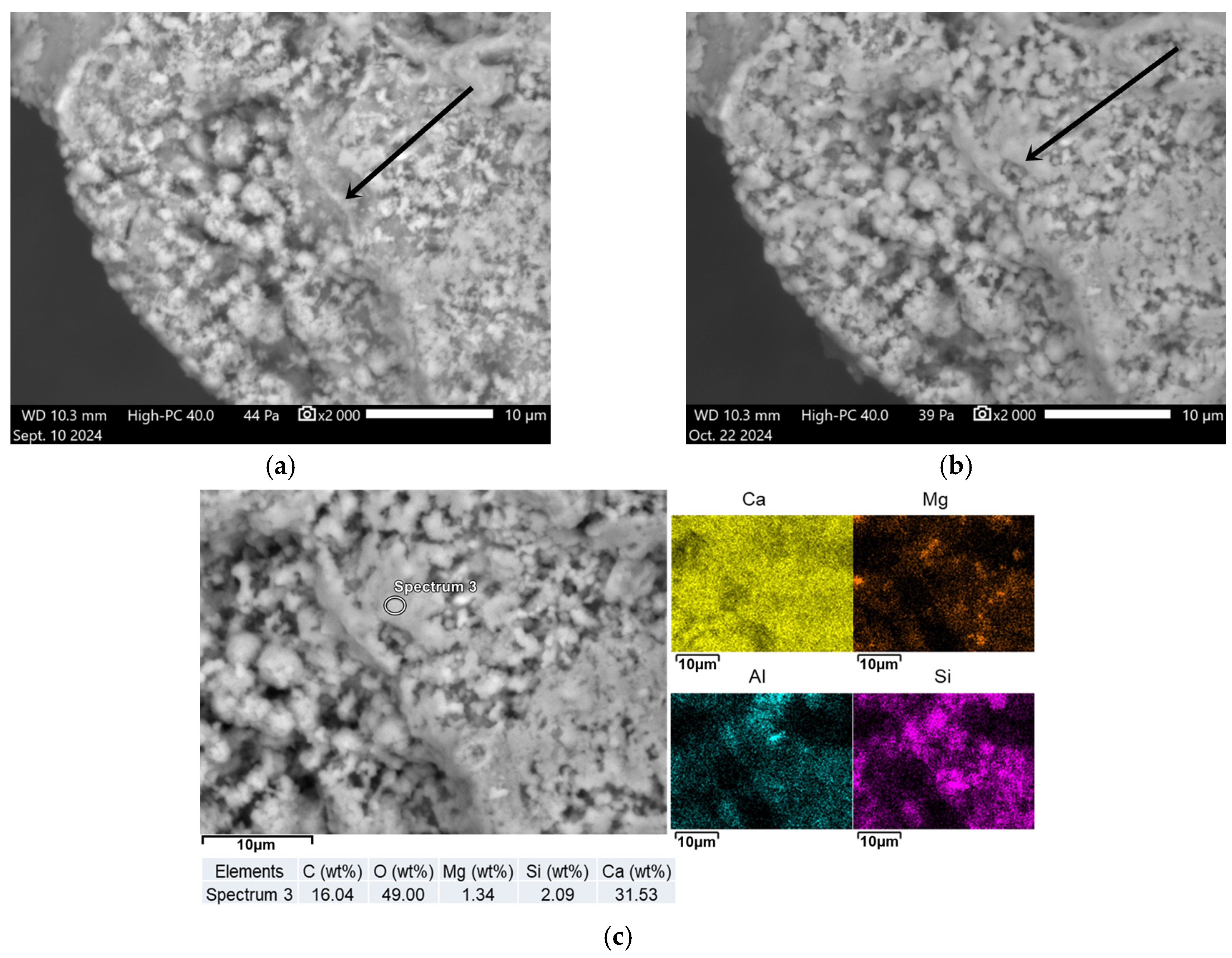 Applsci 16 00755 g013 Applsci 16 00755 g013