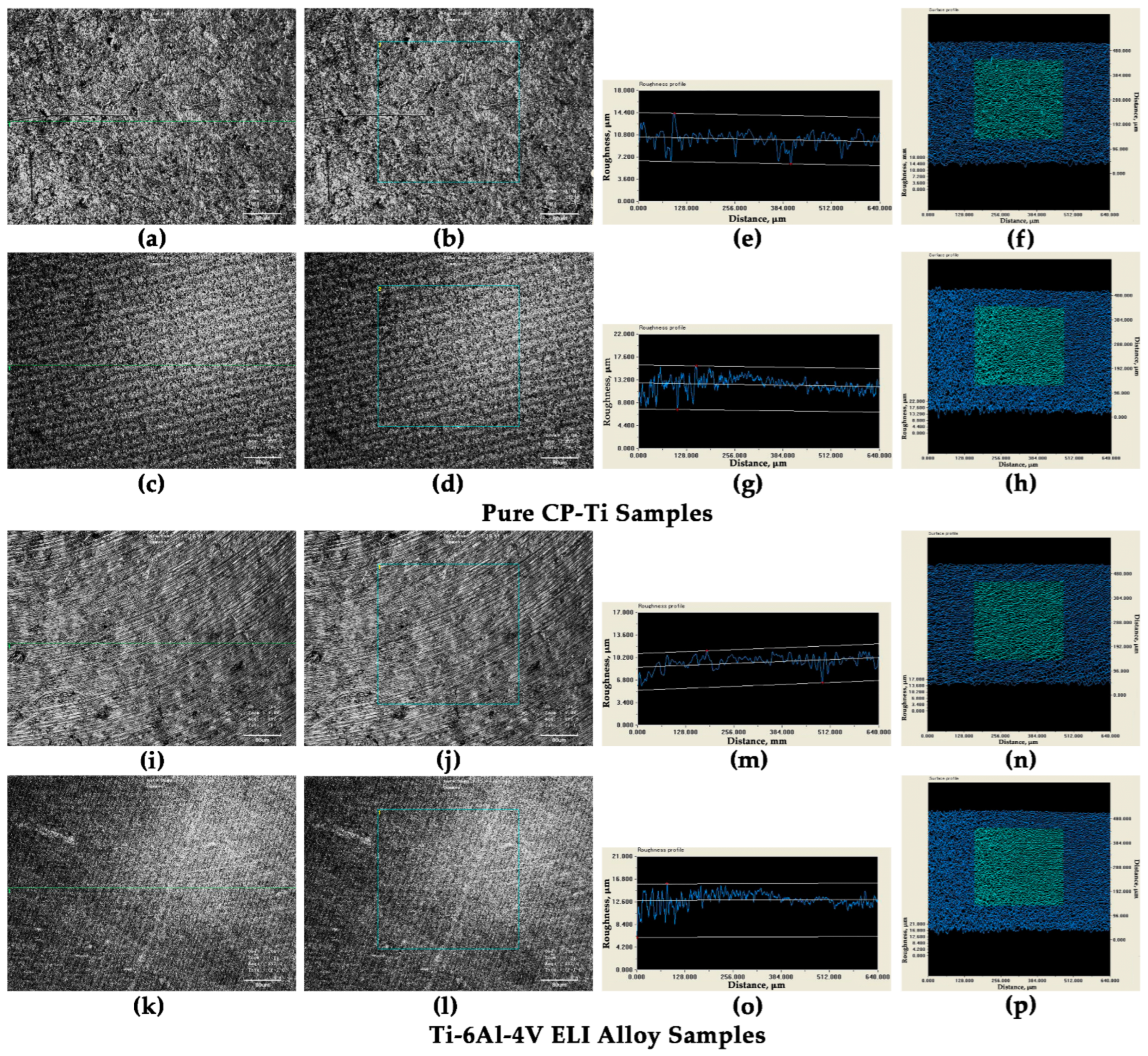 Applsci 16 00766 g004 Applsci 16 00766 g004