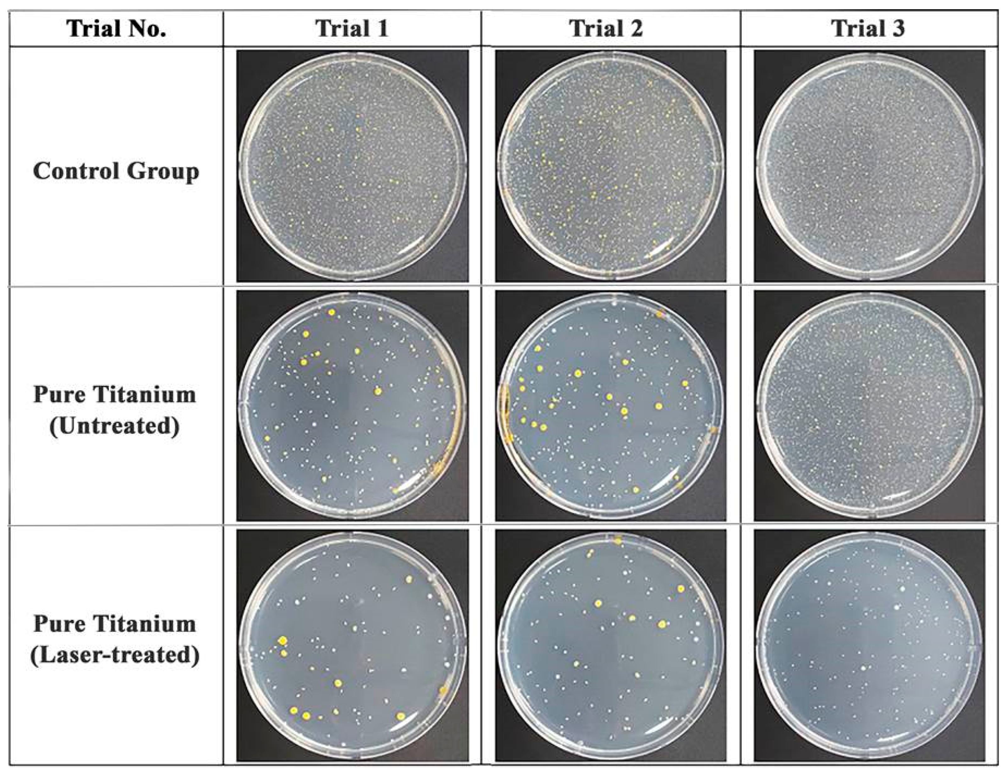 Applsci 16 00766 g011 Applsci 16 00766 g011