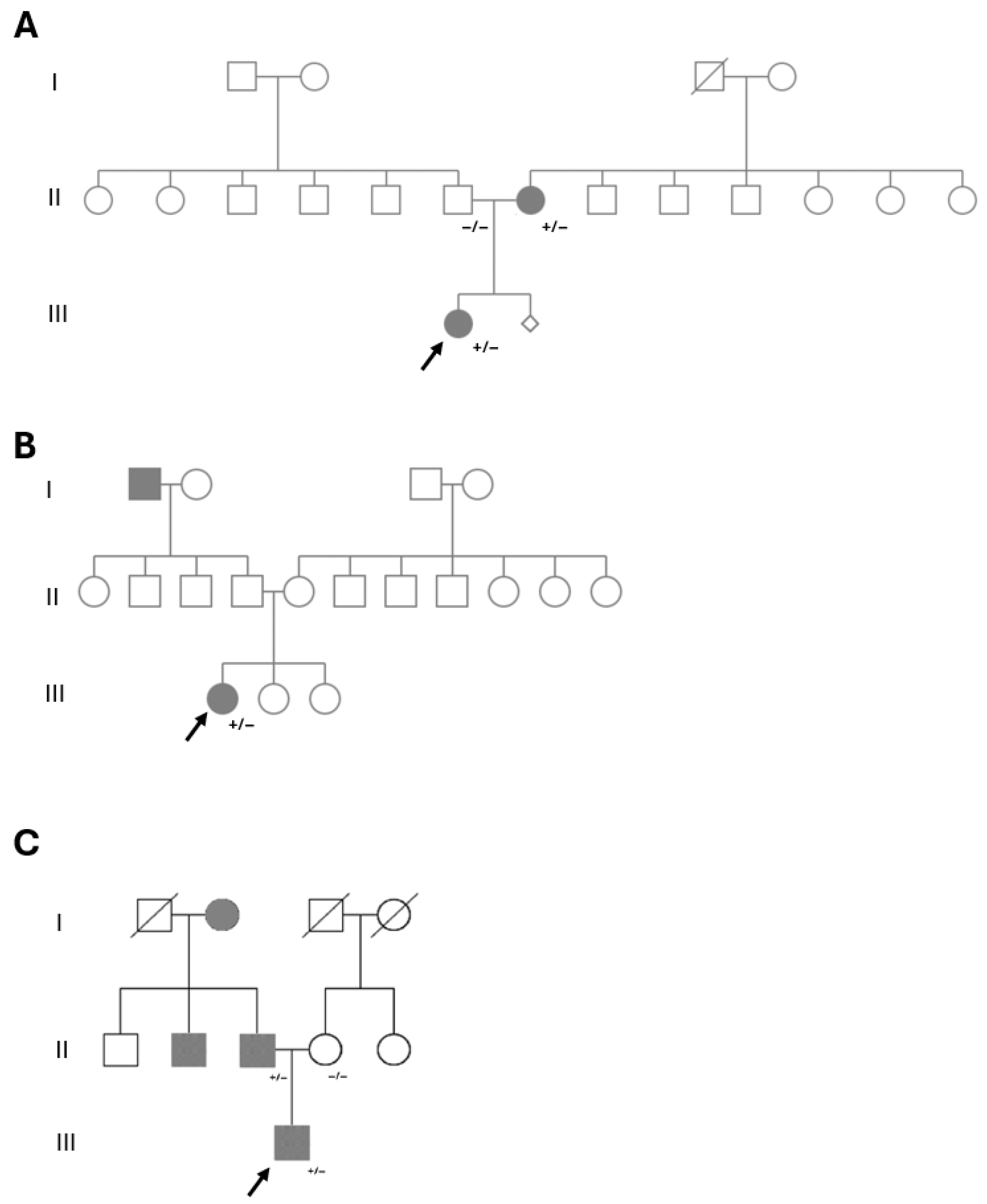 Applsci 16 00795 g0a1
