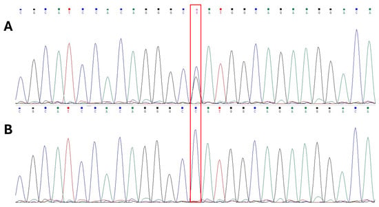 Applsci 16 00795 g0a2