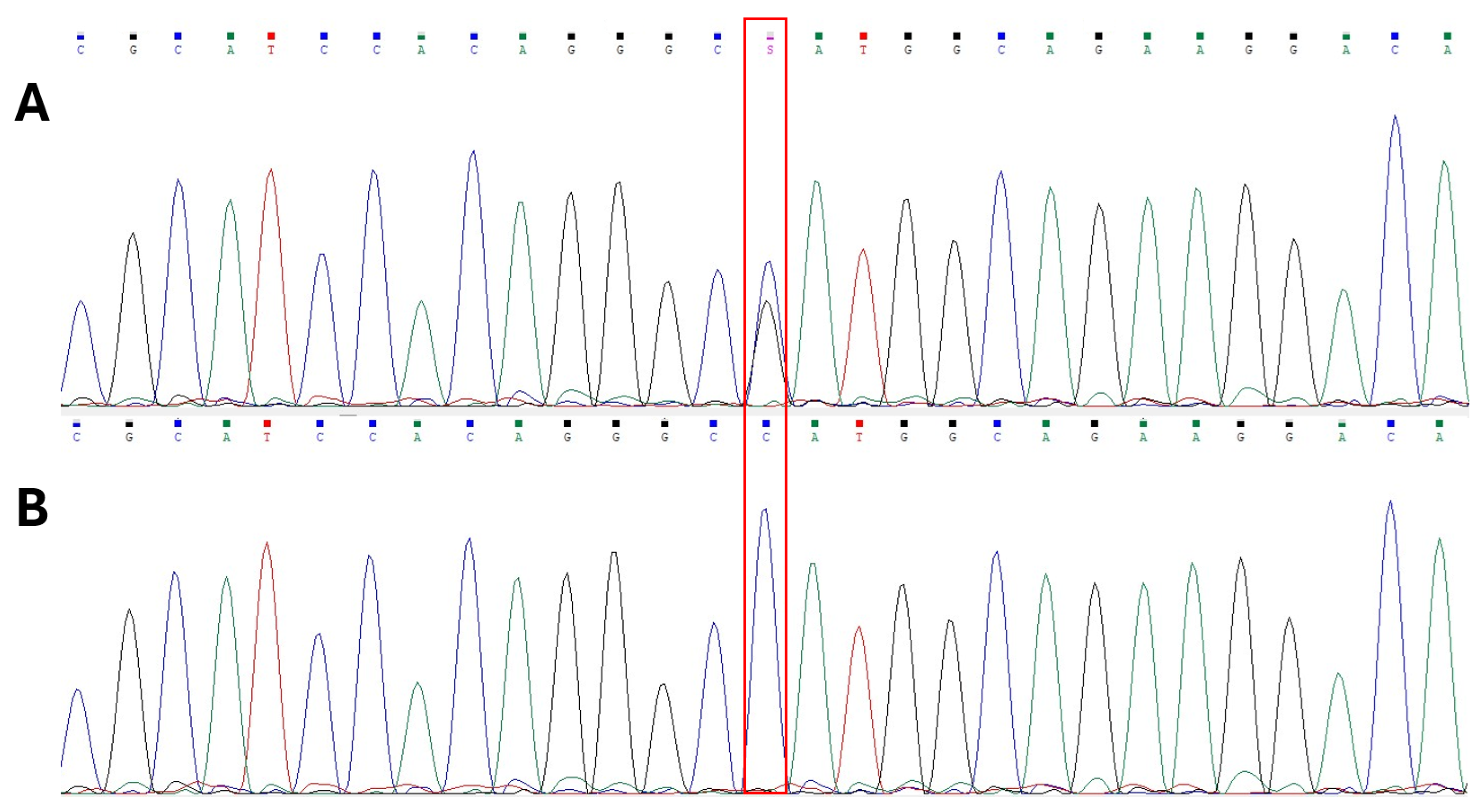 Applsci 16 00795 g0a2