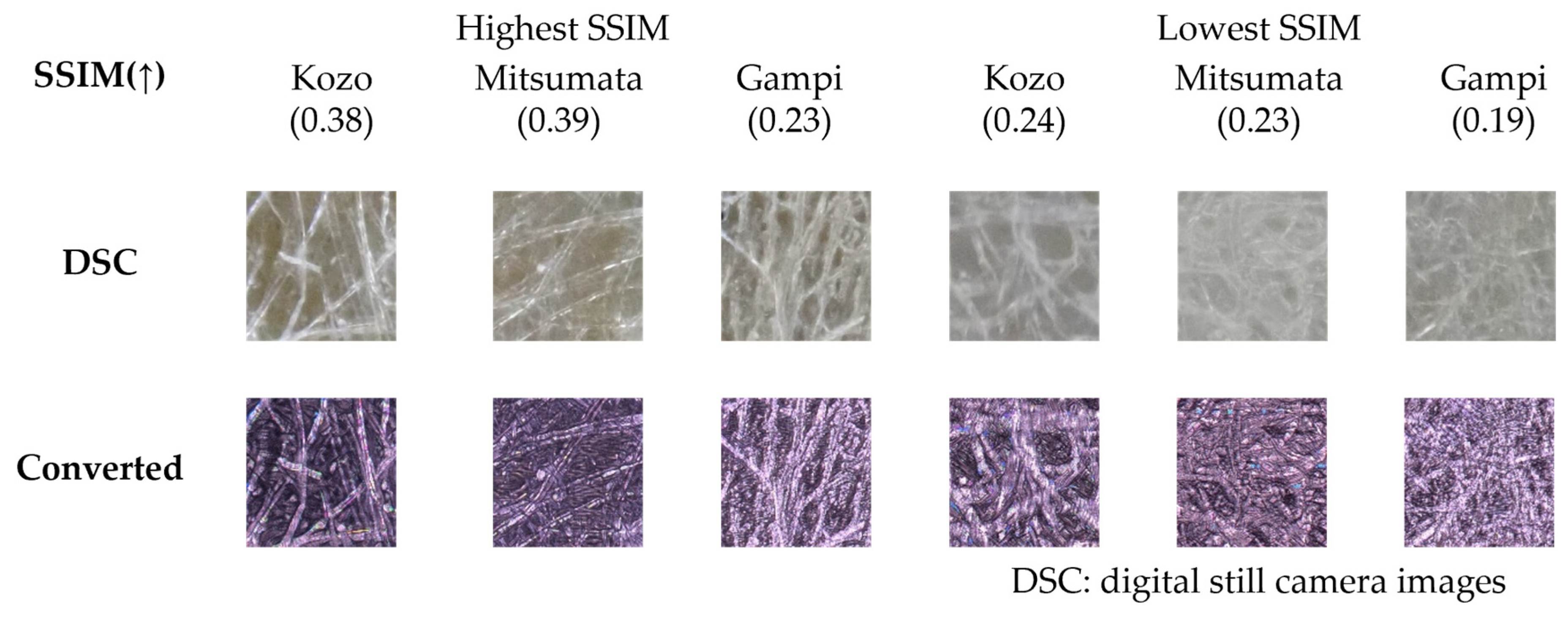 Applsci 16 00814 g001 Applsci 16 00814 g001