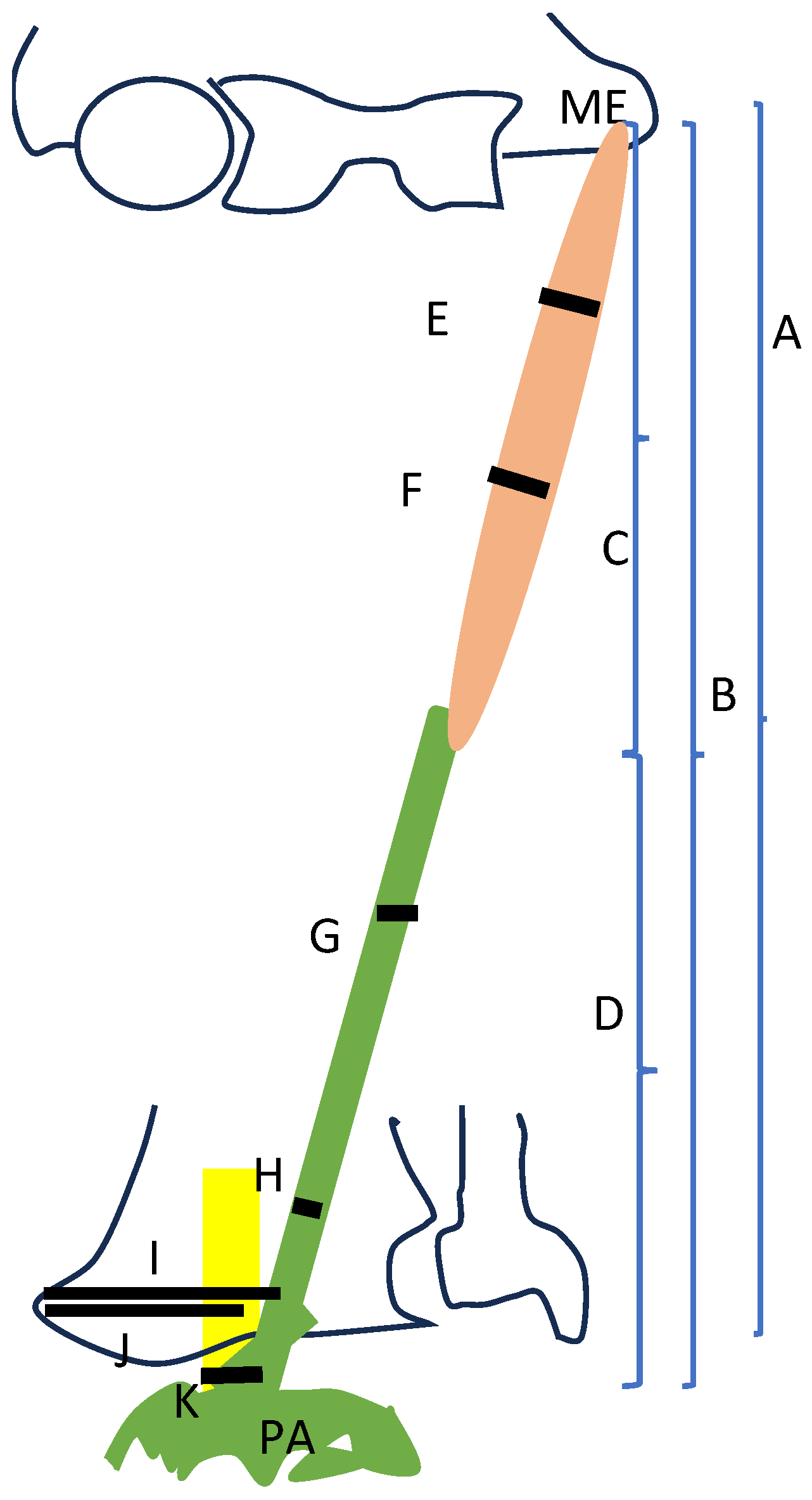 Applsci 16 00817 g001 Applsci 16 00817 g001