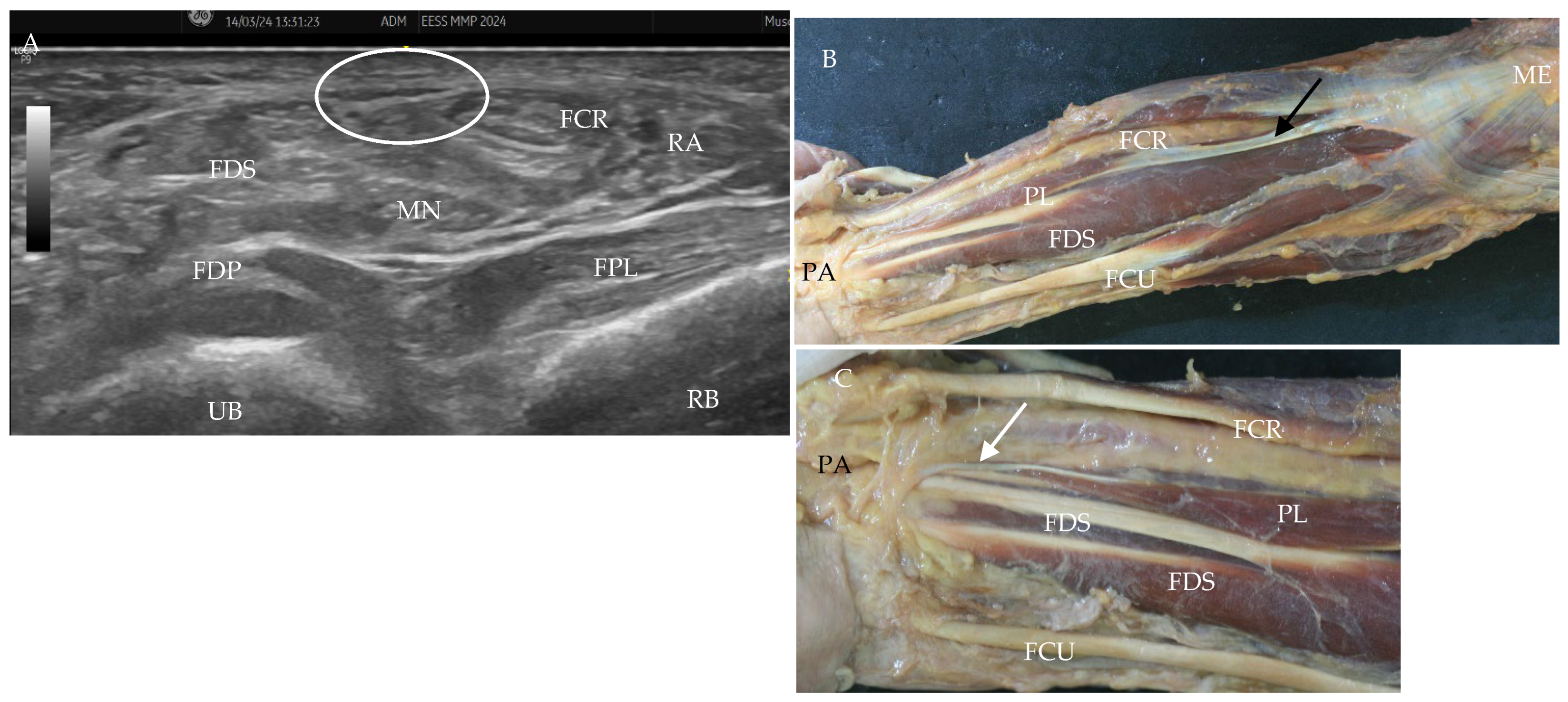 Applsci 16 00817 g011 Applsci 16 00817 g011