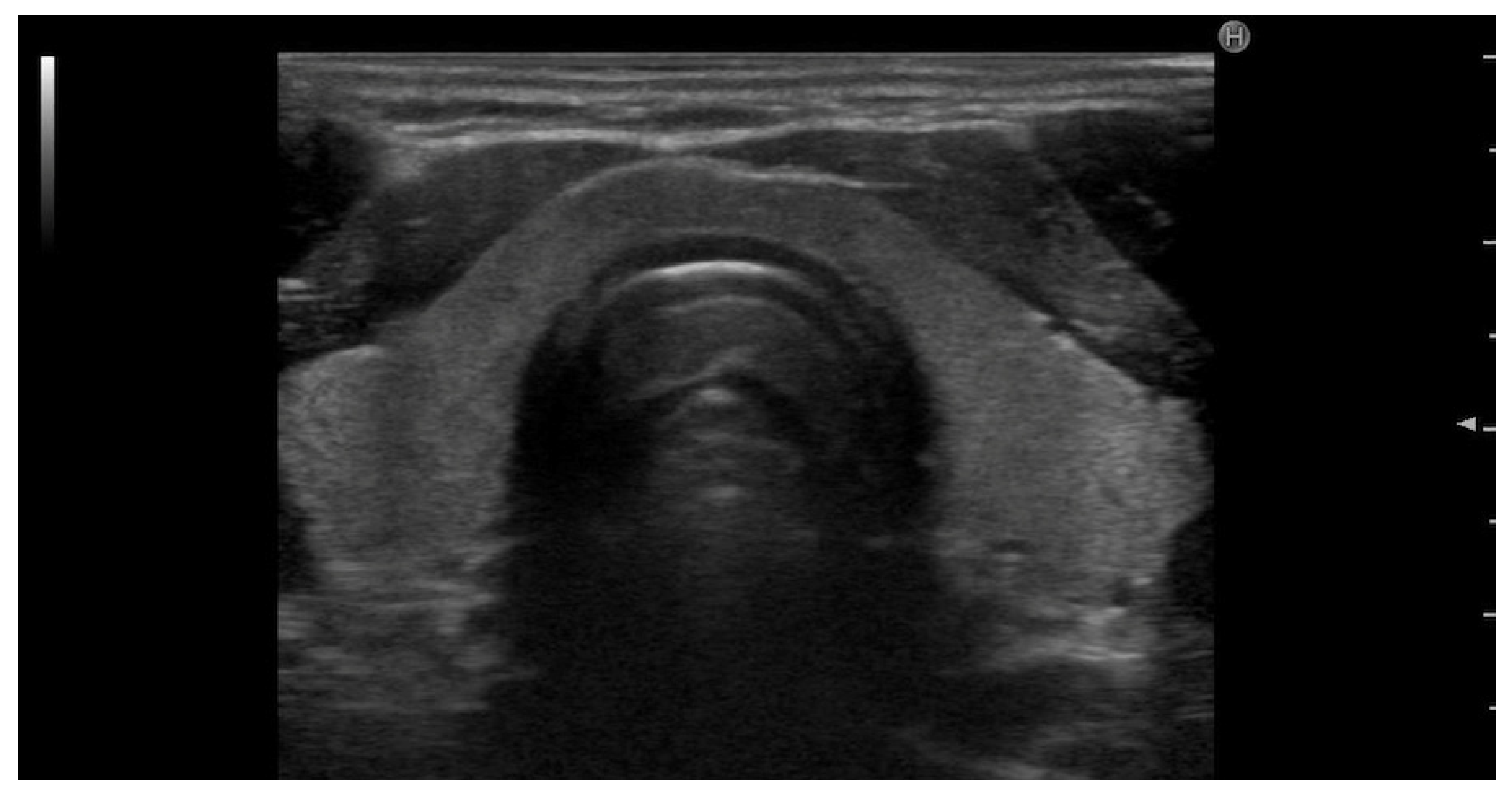 Applsci 16 00830 g001