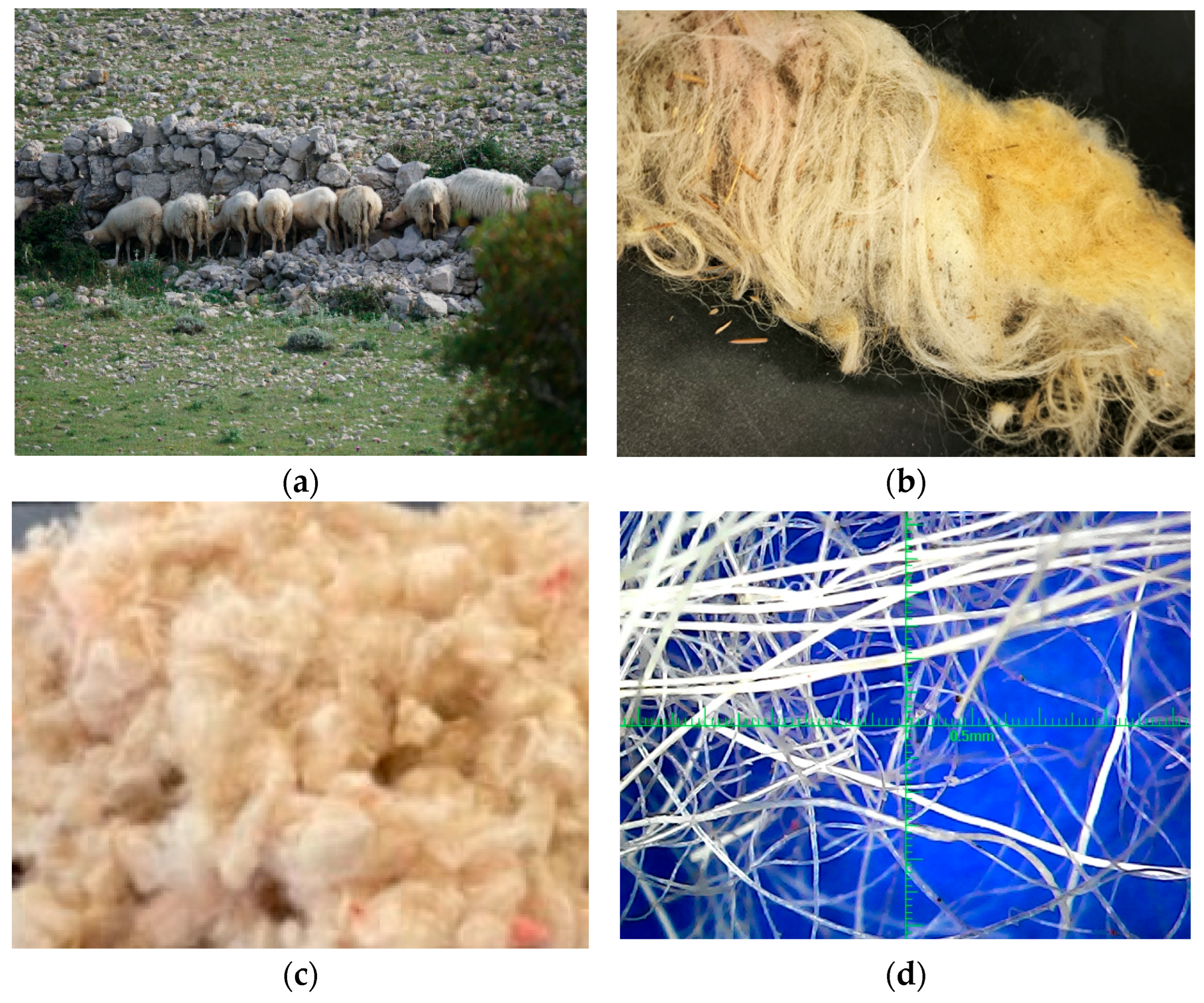 Applsci 16 00962 g003