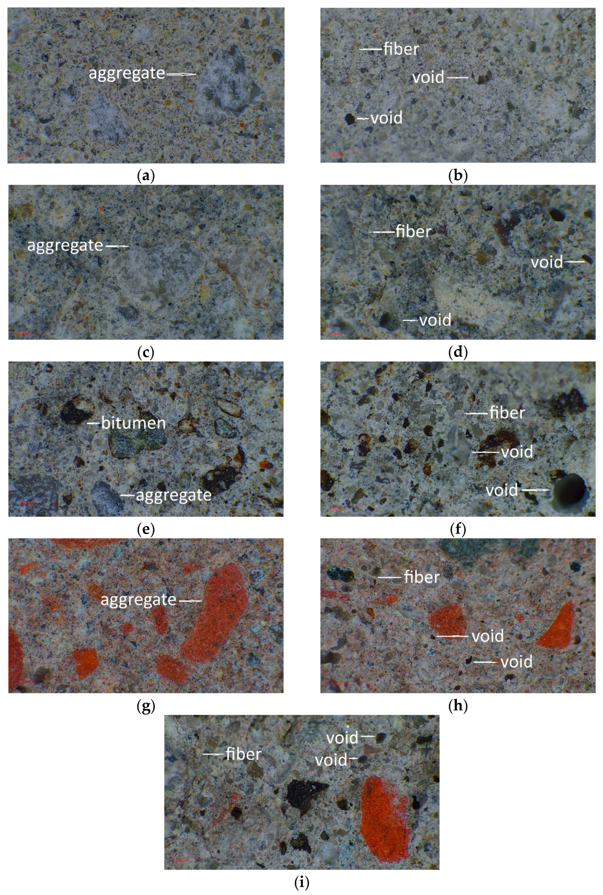 Applsci 16 00962 g010