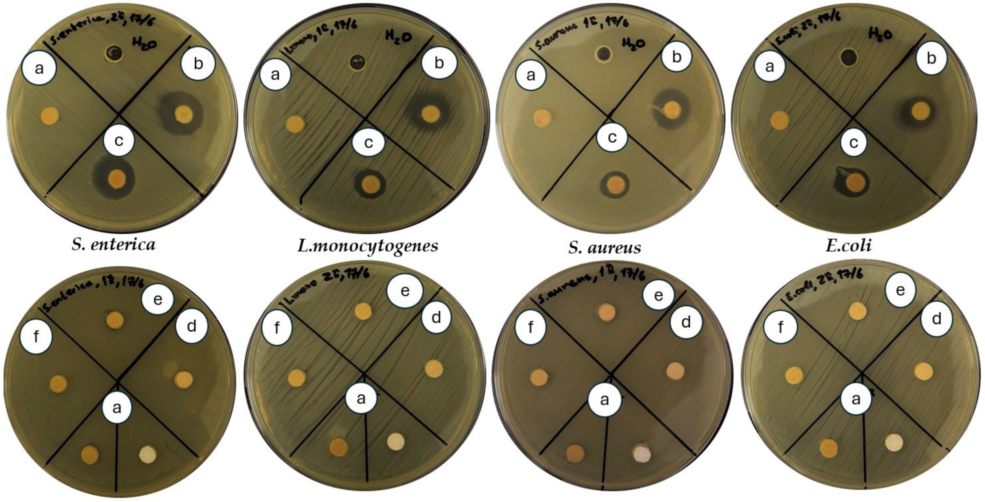 Applsci 16 00999 g004