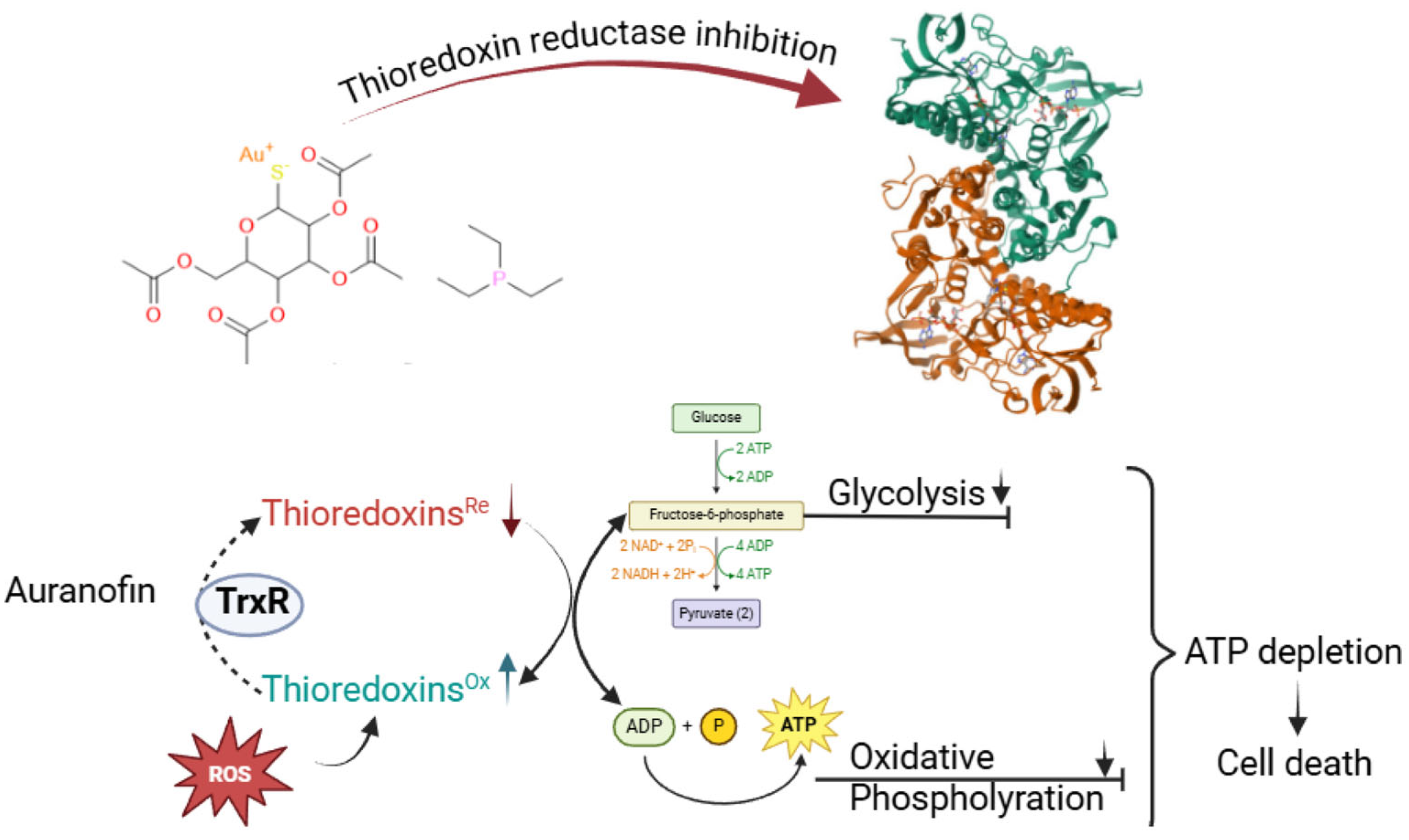 Applsci 16 01114 g003 Applsci 16 01114 g003
