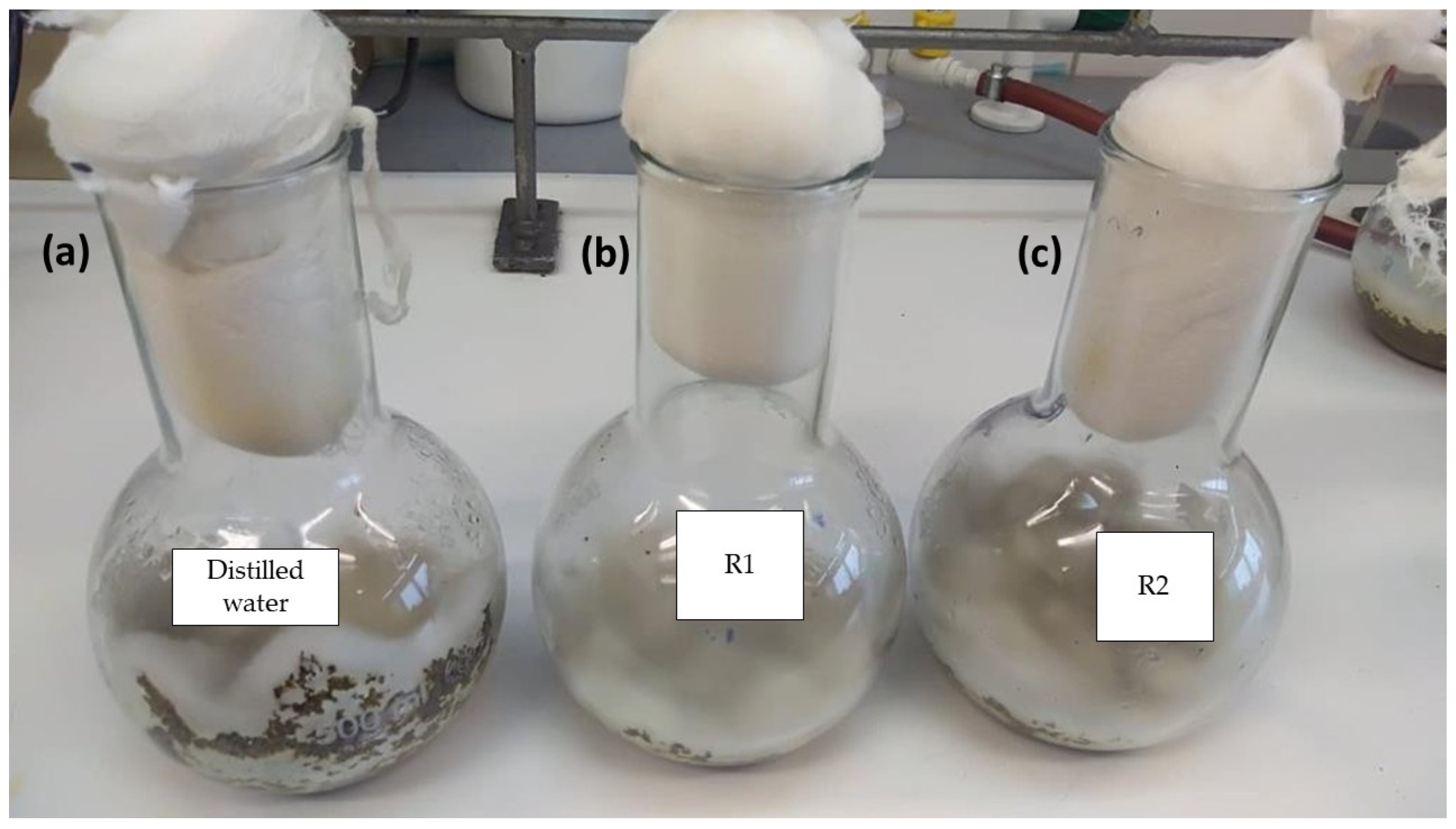 Applsci 16 01225 g001 Applsci 16 01225 g001