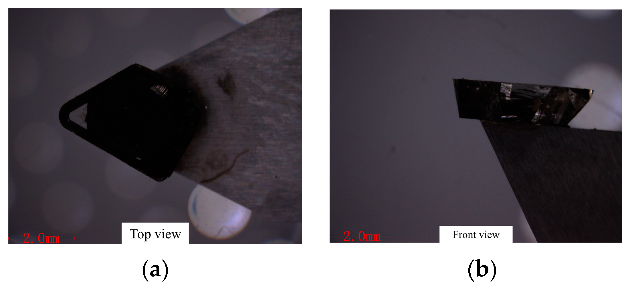 Applsci 16 01350 g002 Applsci 16 01350 g002