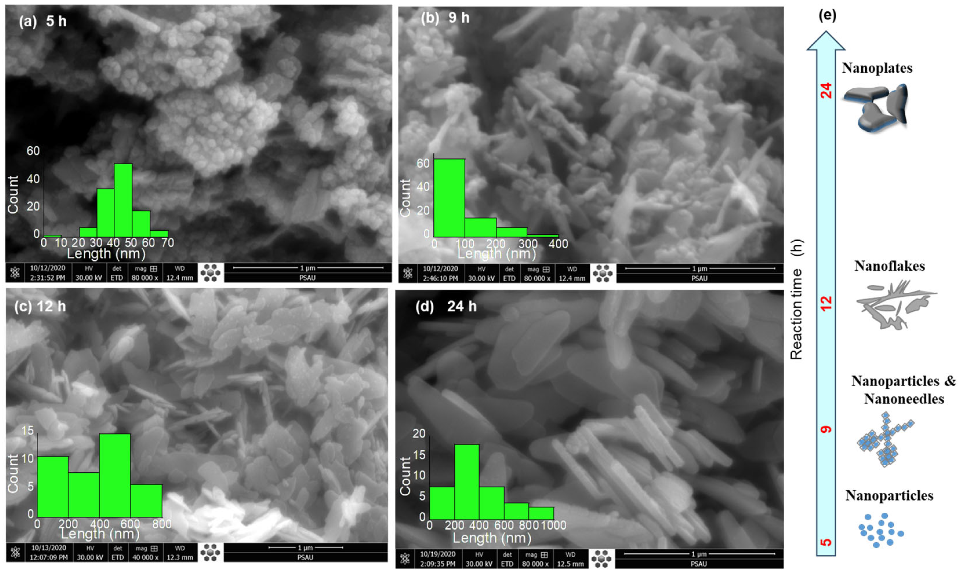 Applsci 16 01408 g001 Applsci 16 01408 g001