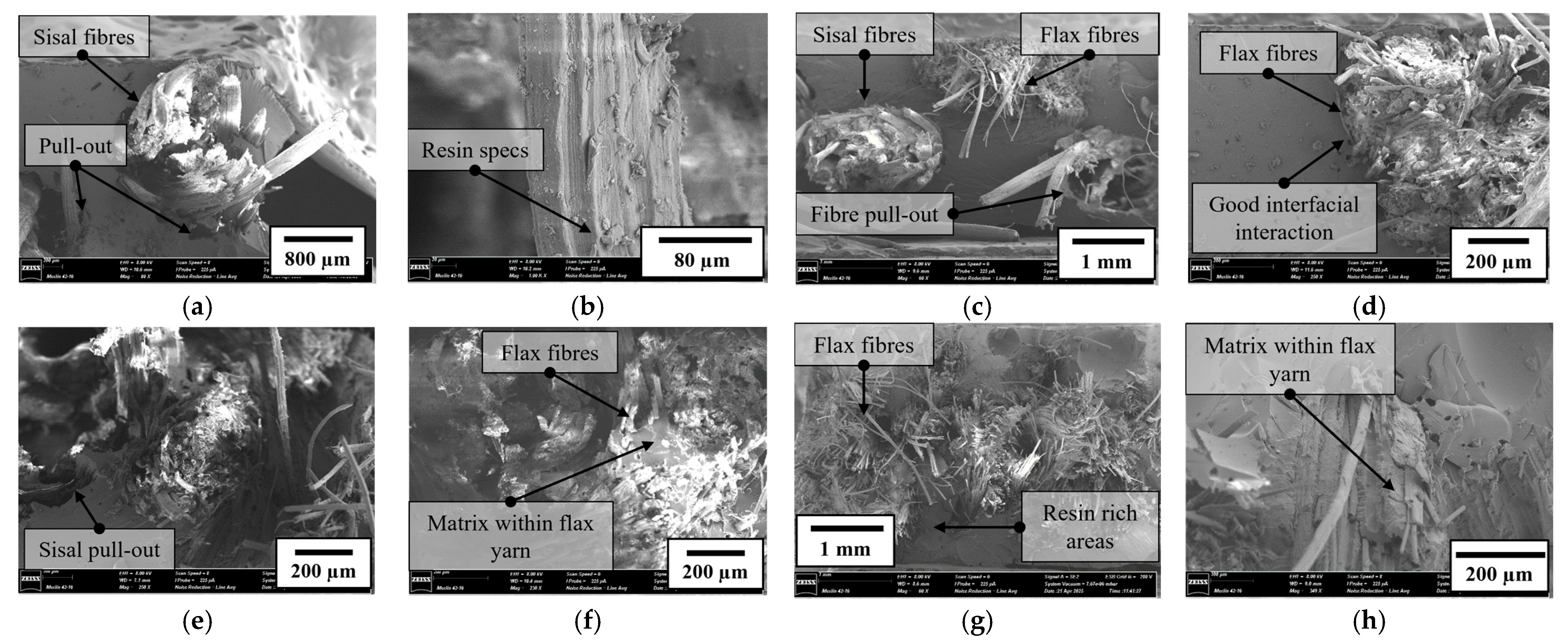 Applsci 16 01455 g008 Applsci 16 01455 g008