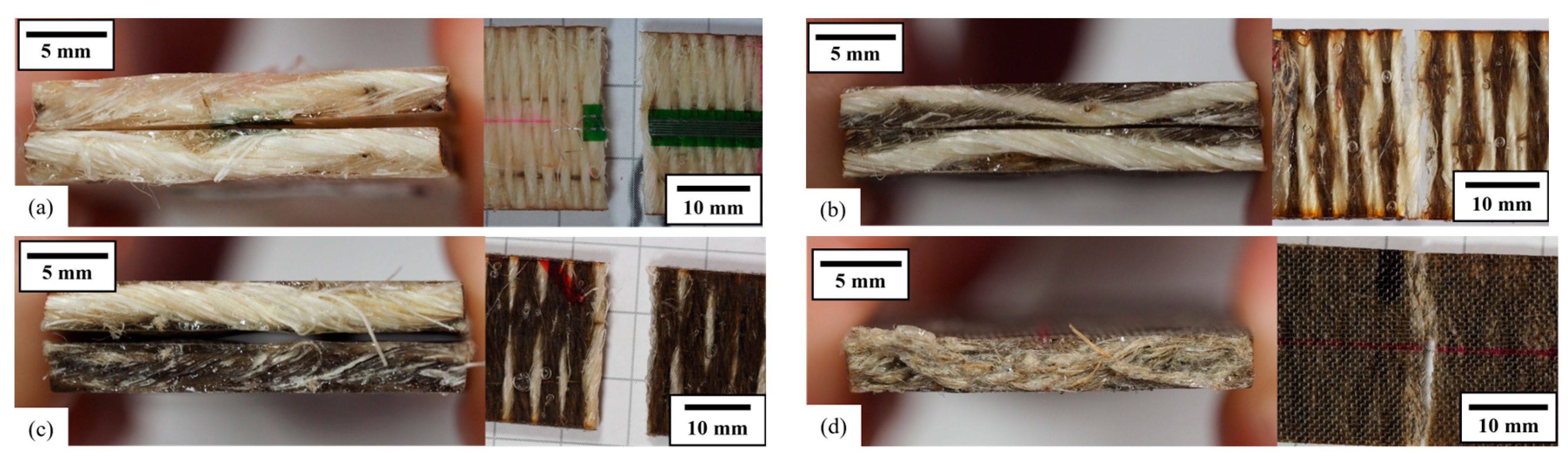 Applsci 16 01455 g009 Applsci 16 01455 g009
