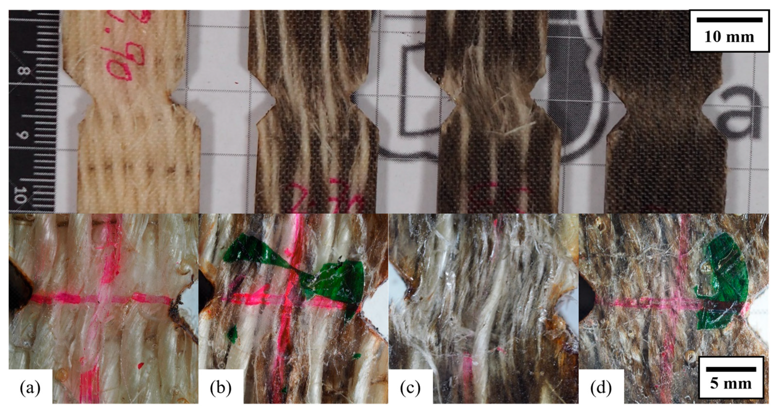 Applsci 16 01455 g010 Applsci 16 01455 g010