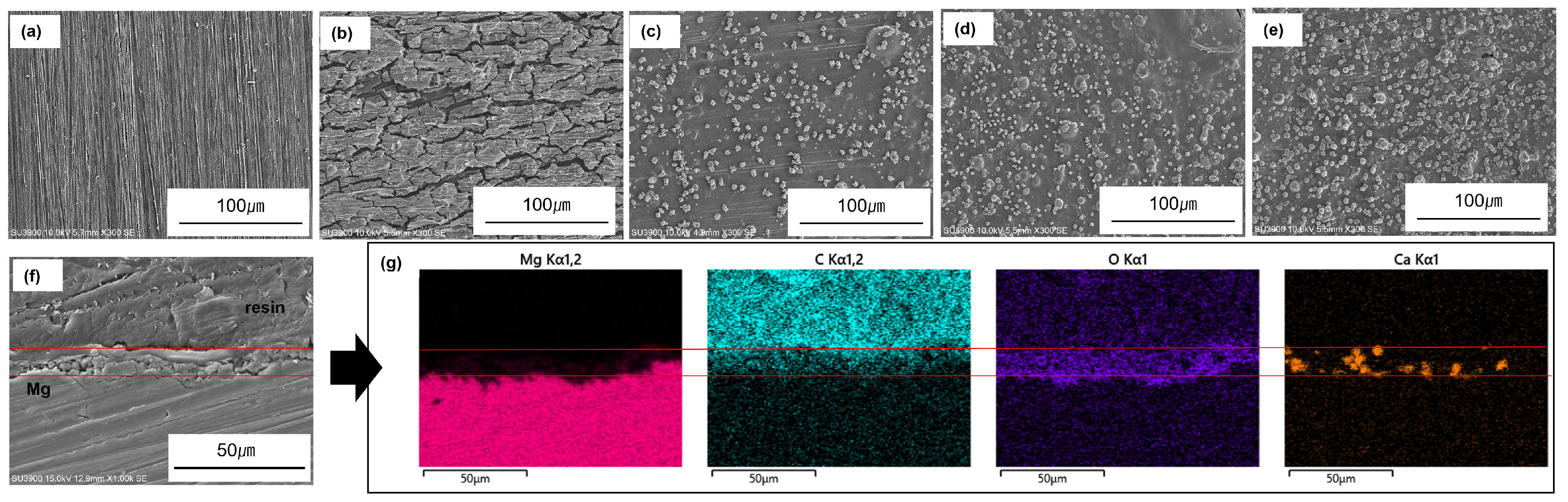 Applsci 16 01542 g001
