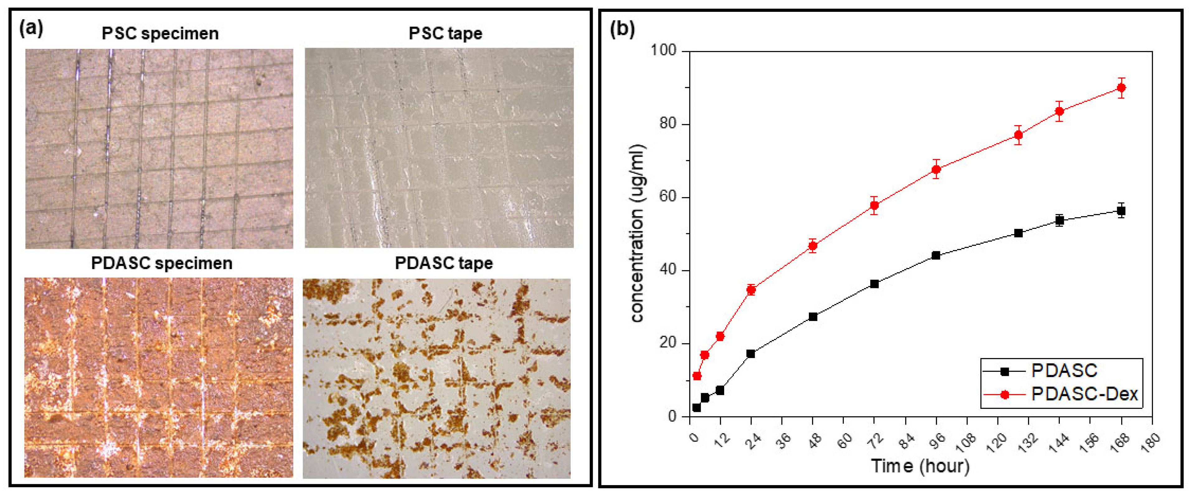 Applsci 16 01542 g004