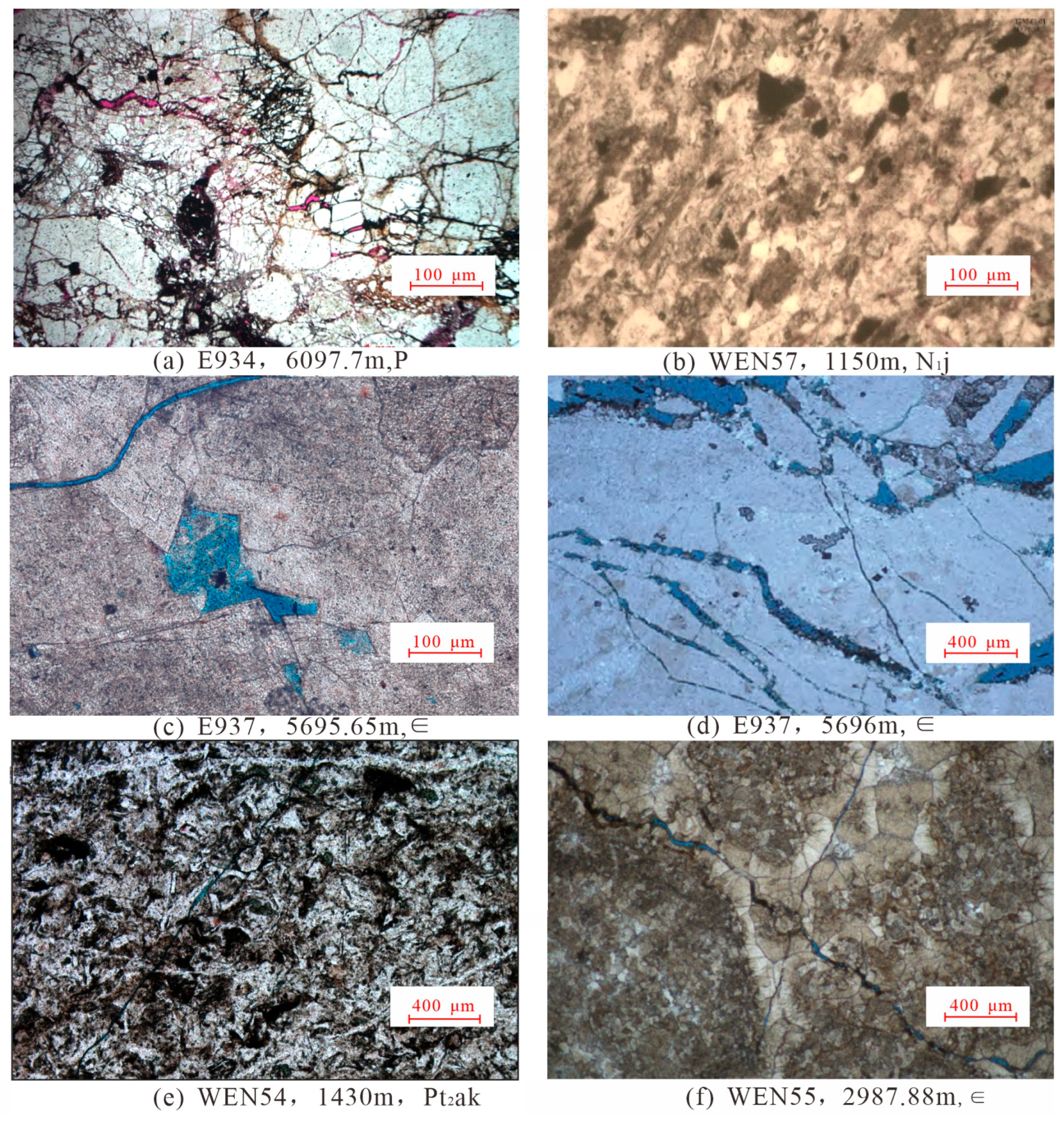 Applsci 16 01591 g009