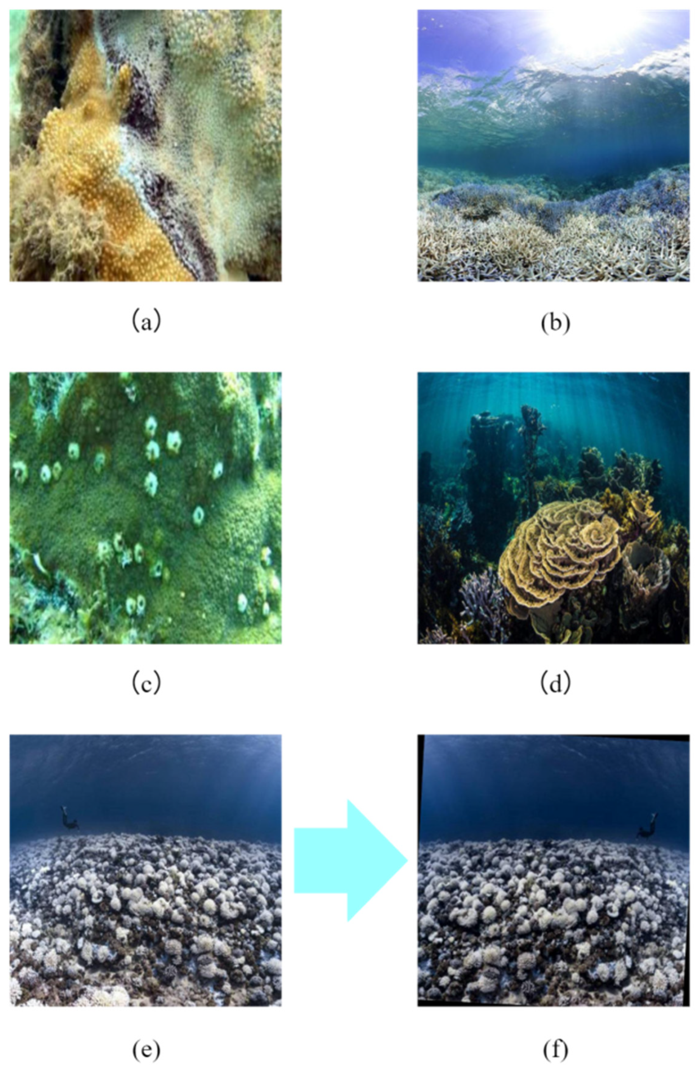 Applsci 16 01606 g004 Applsci 16 01606 g004