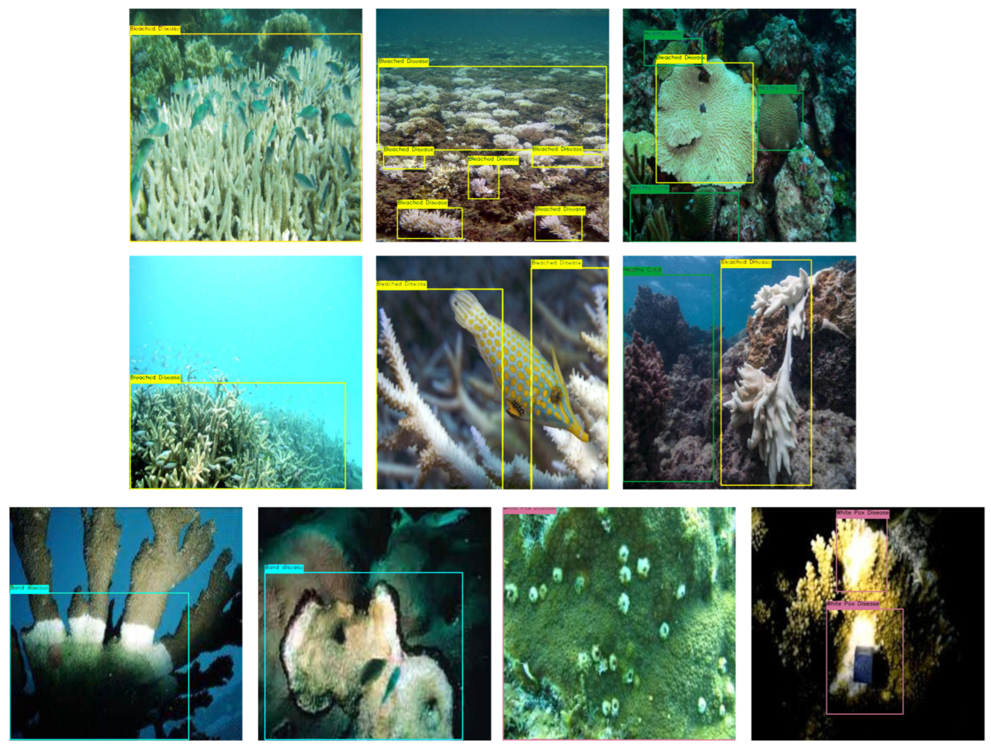 Applsci 16 01606 g006 Applsci 16 01606 g006