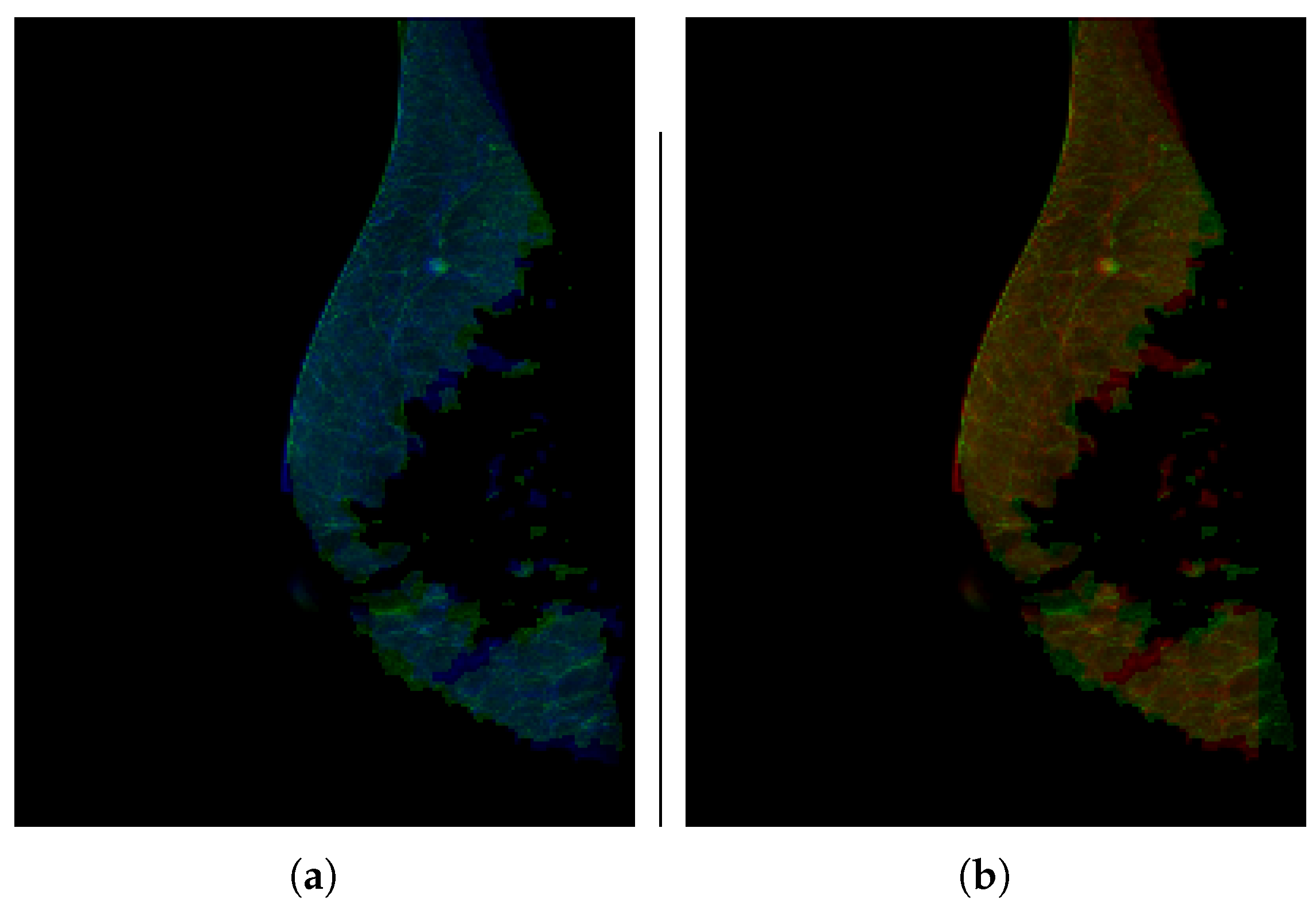 Applsci 16 02104 g006 Applsci 16 02104 g006