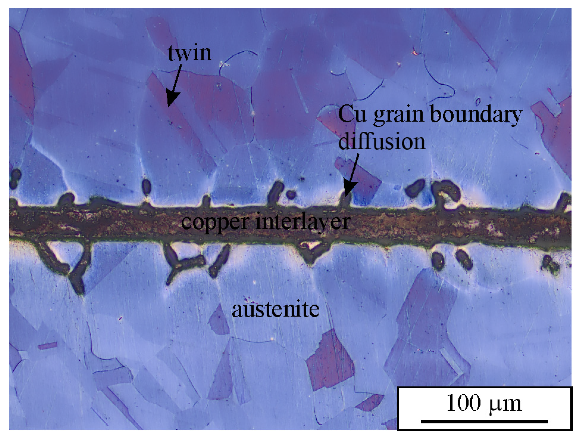 Applsci 16 02160 g007