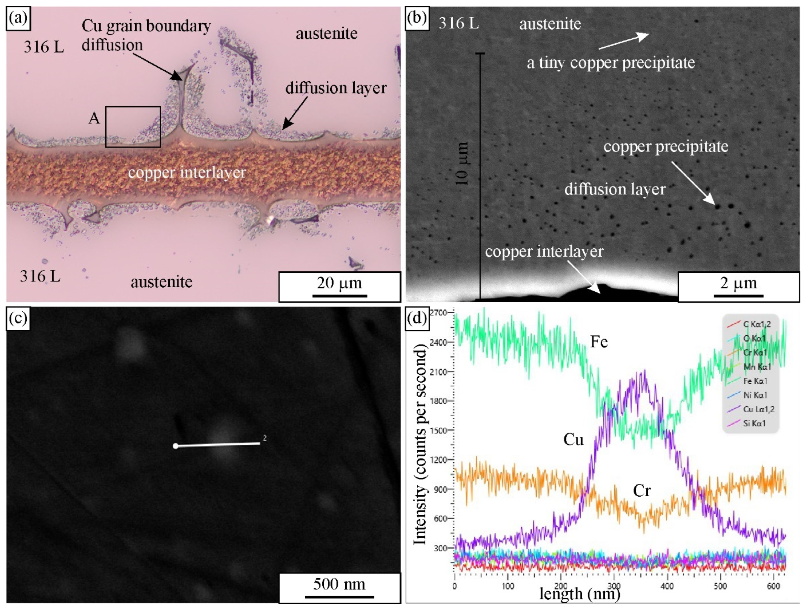 Applsci 16 02160 g008