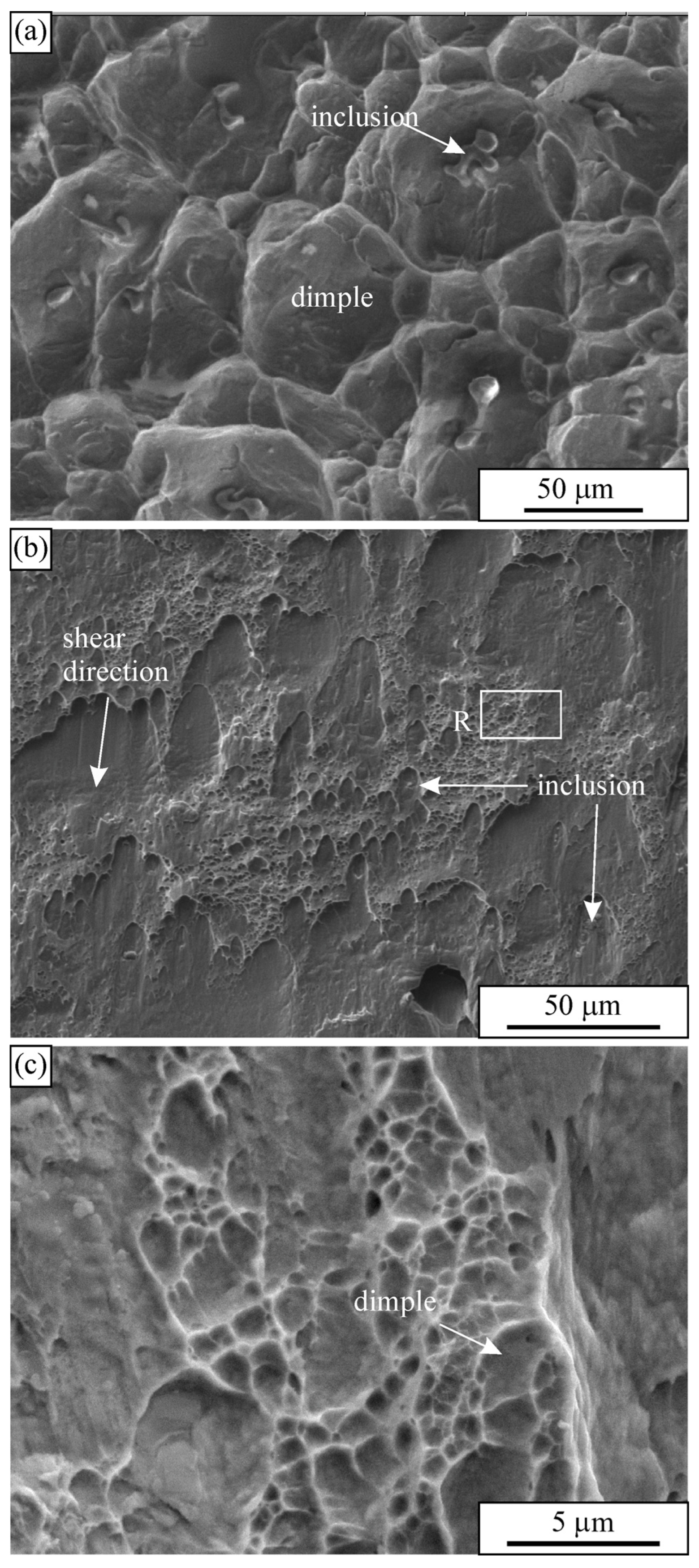 Applsci 16 02160 g010