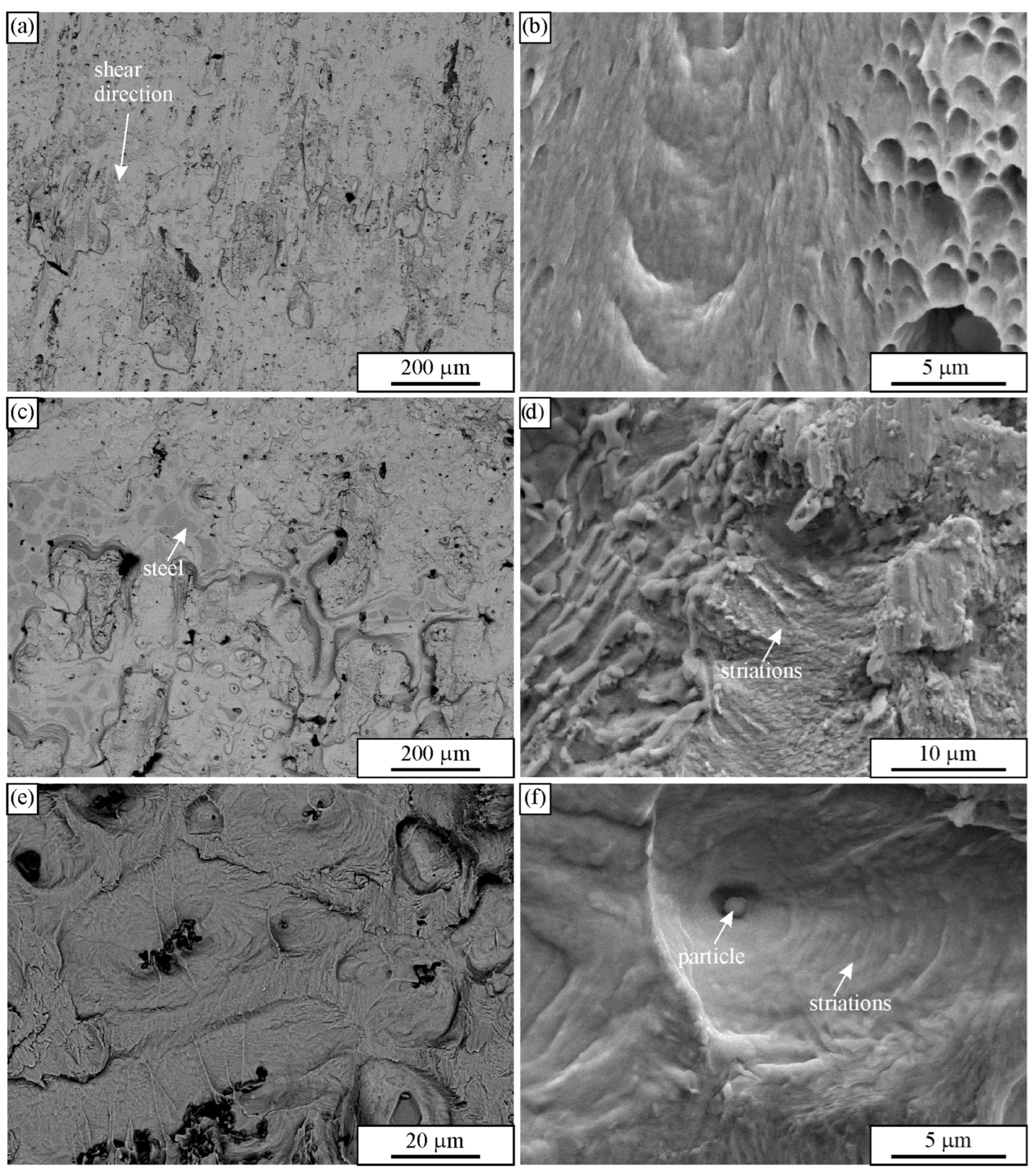 Applsci 16 02160 g011