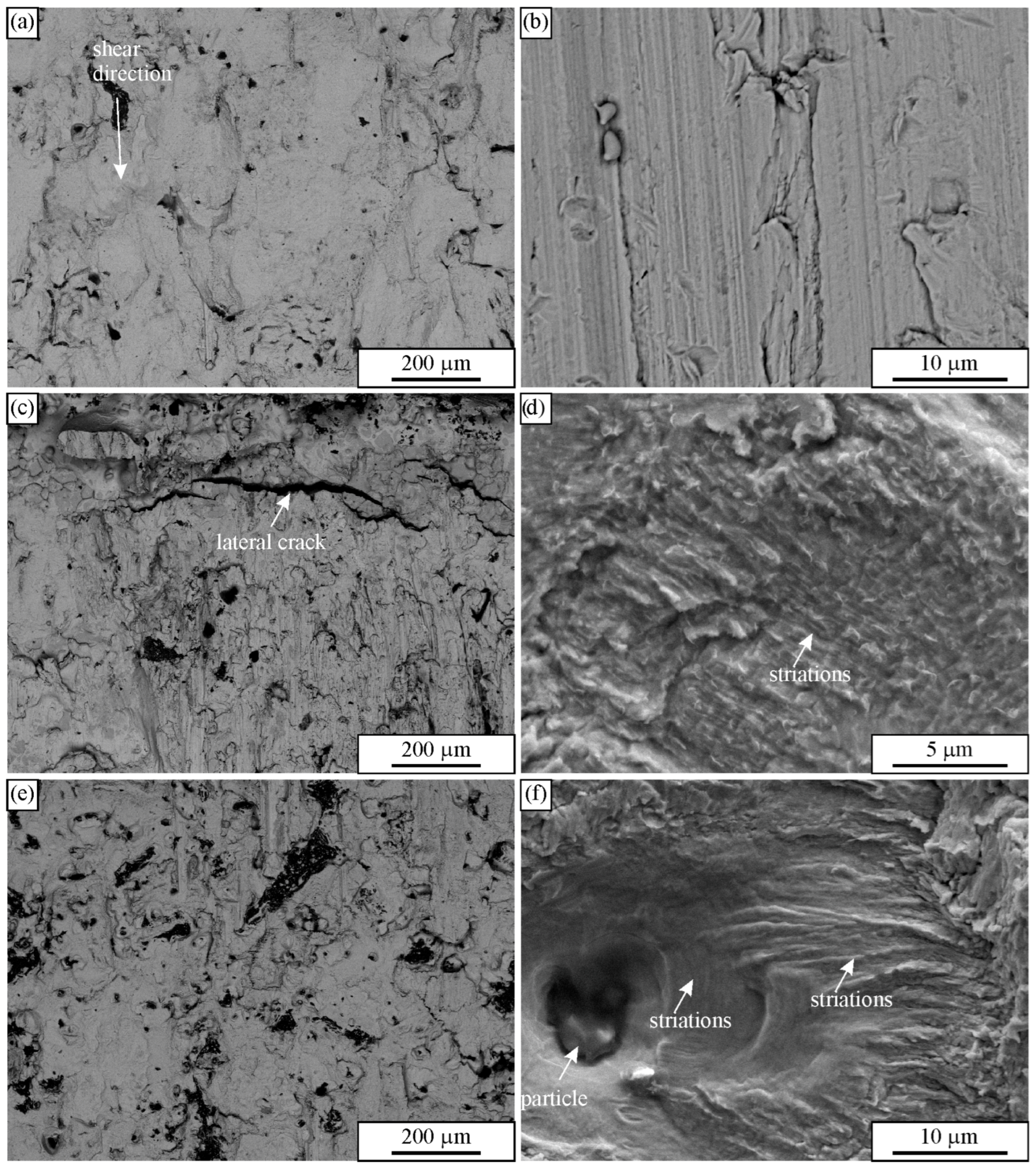 Applsci 16 02160 g012