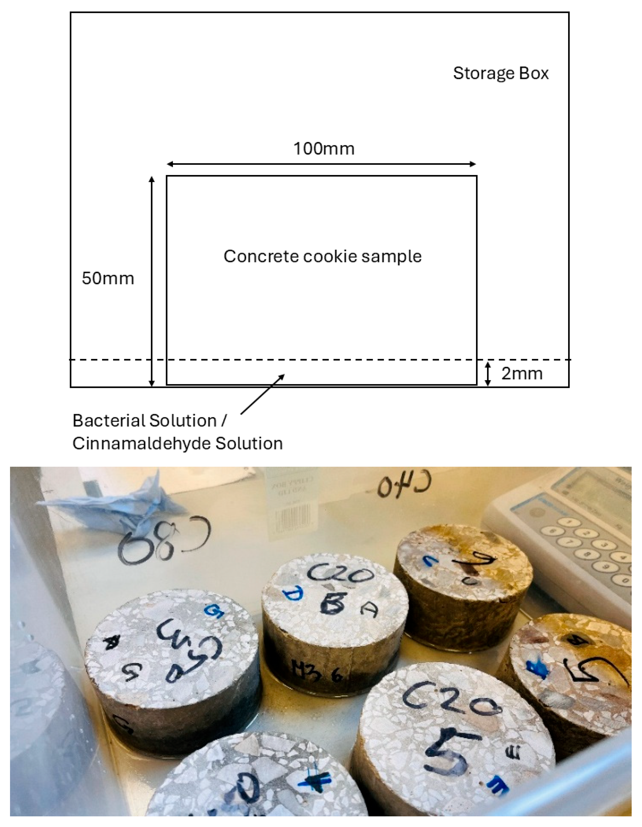 Applsci 16 02383 g003 Applsci 16 02383 g003