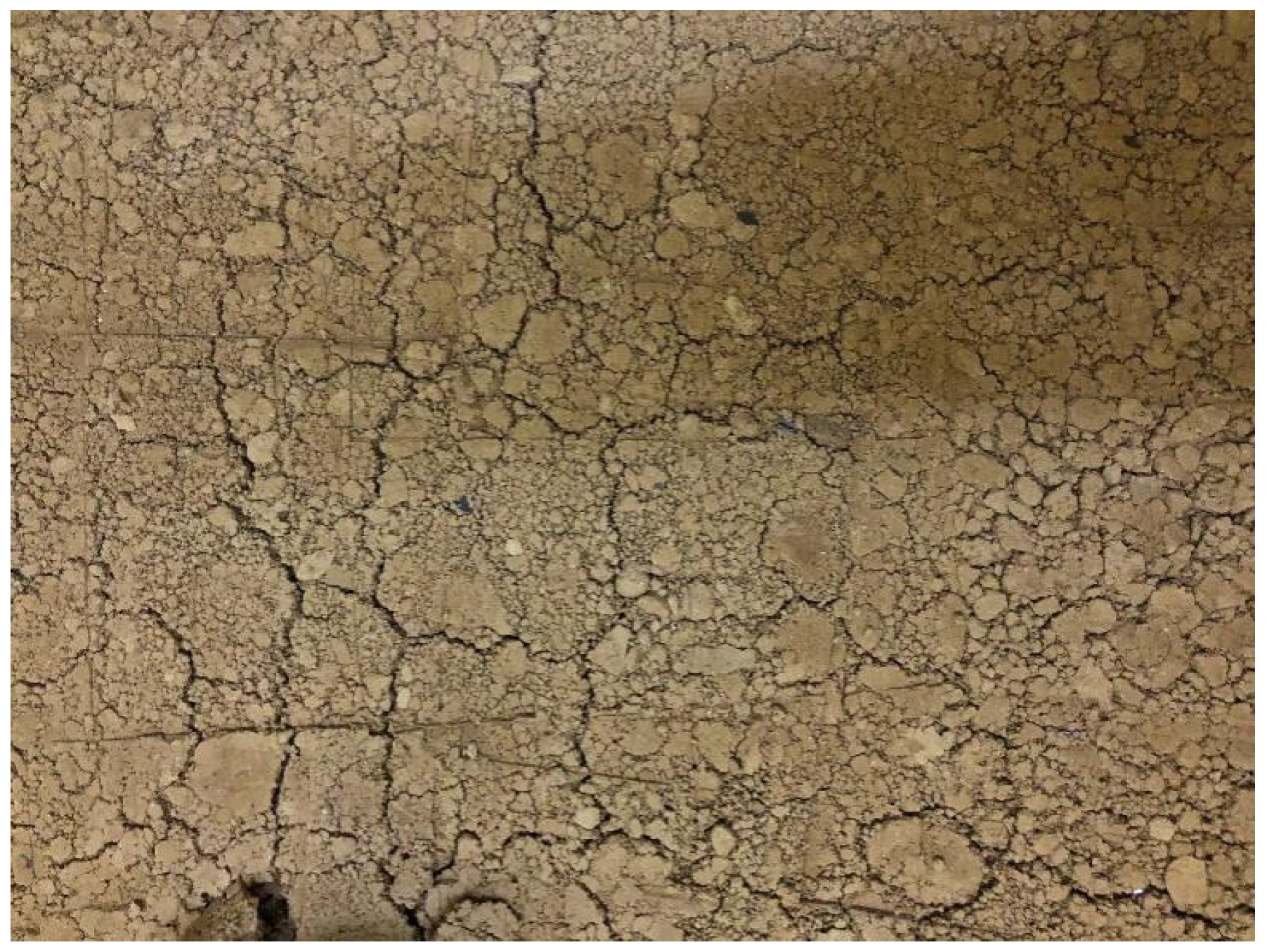 Applsci 16 02442 g004